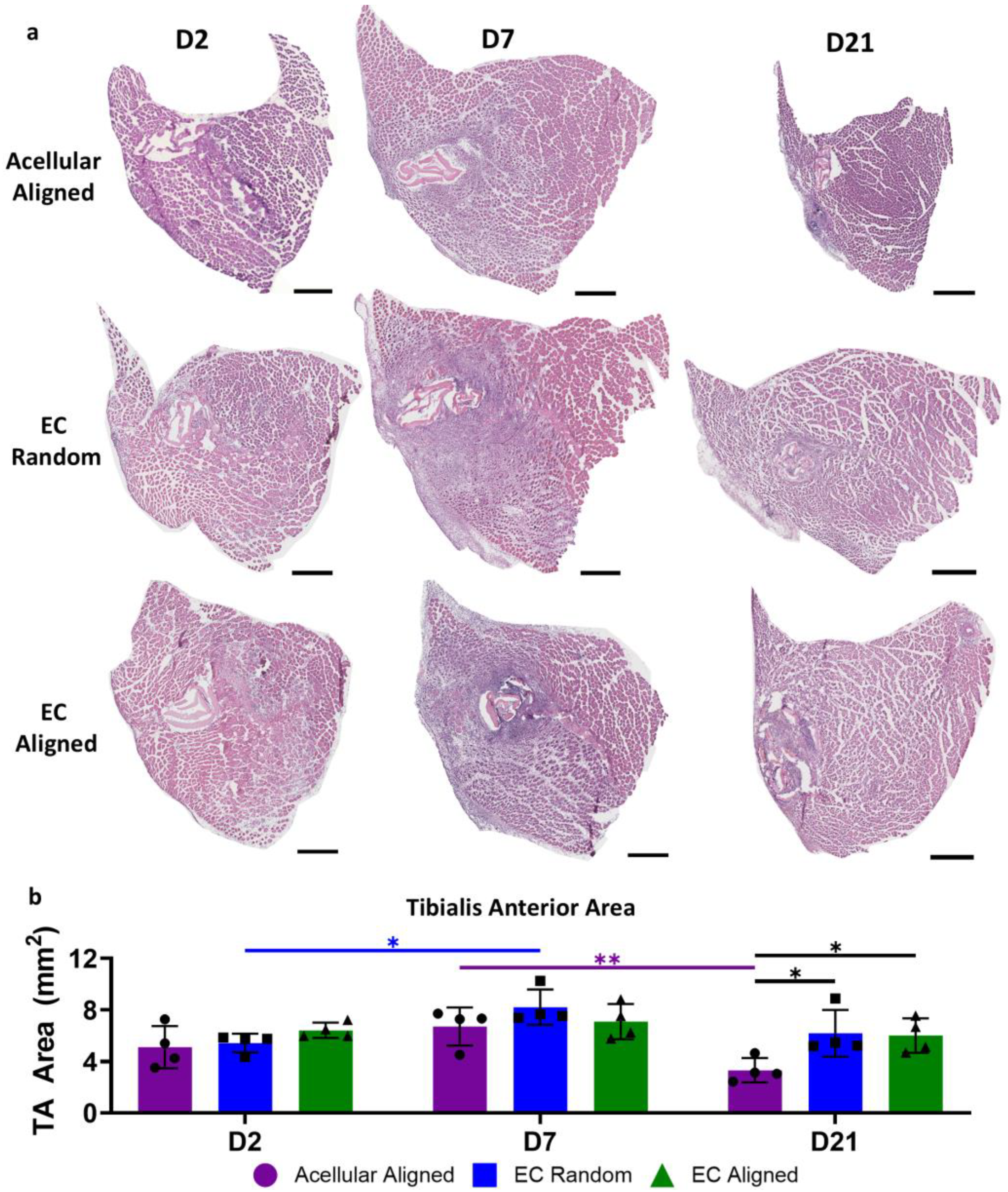 Bioengineering 11 01269 g005