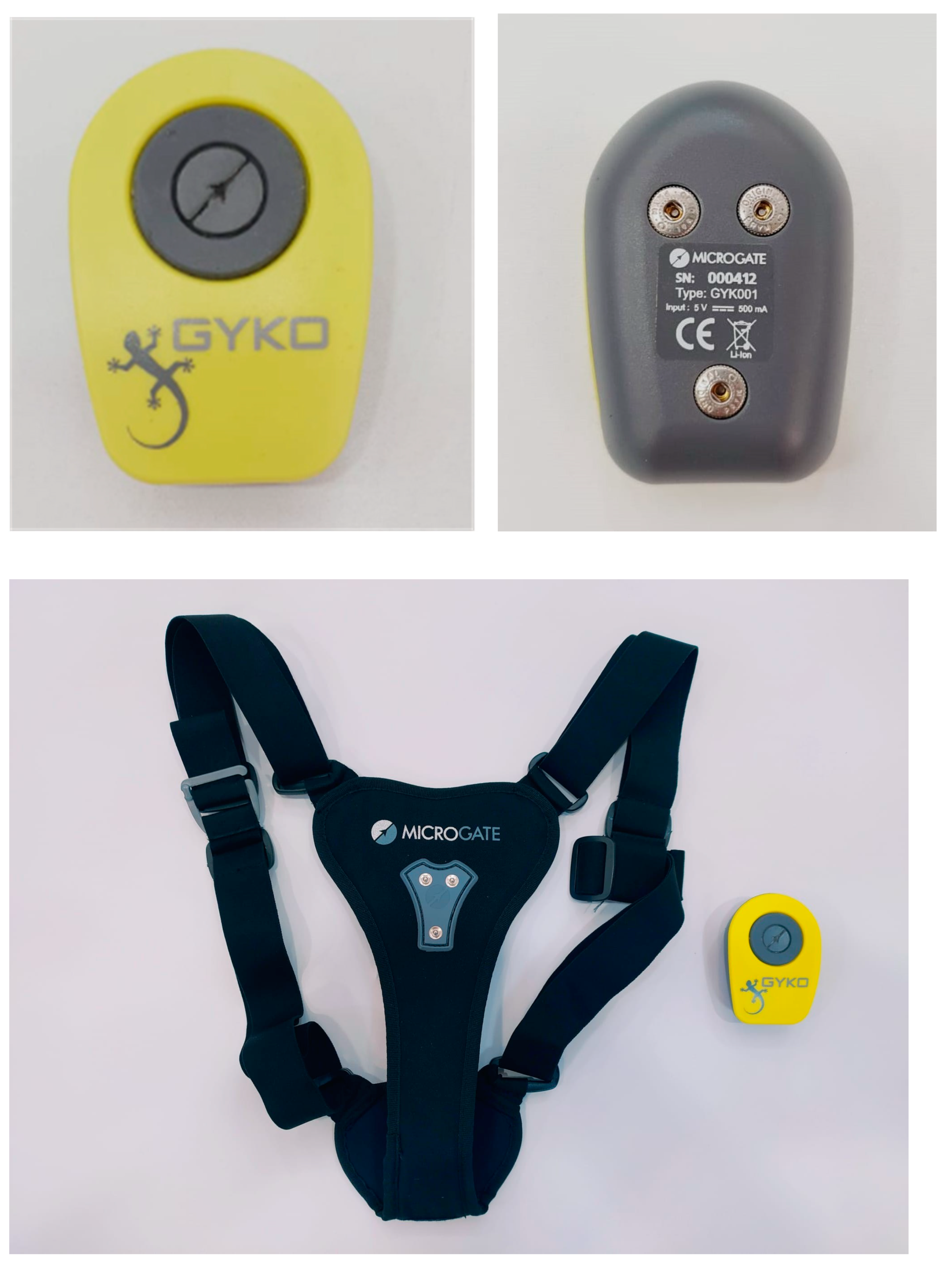 Bioengineering 11 01276 g001