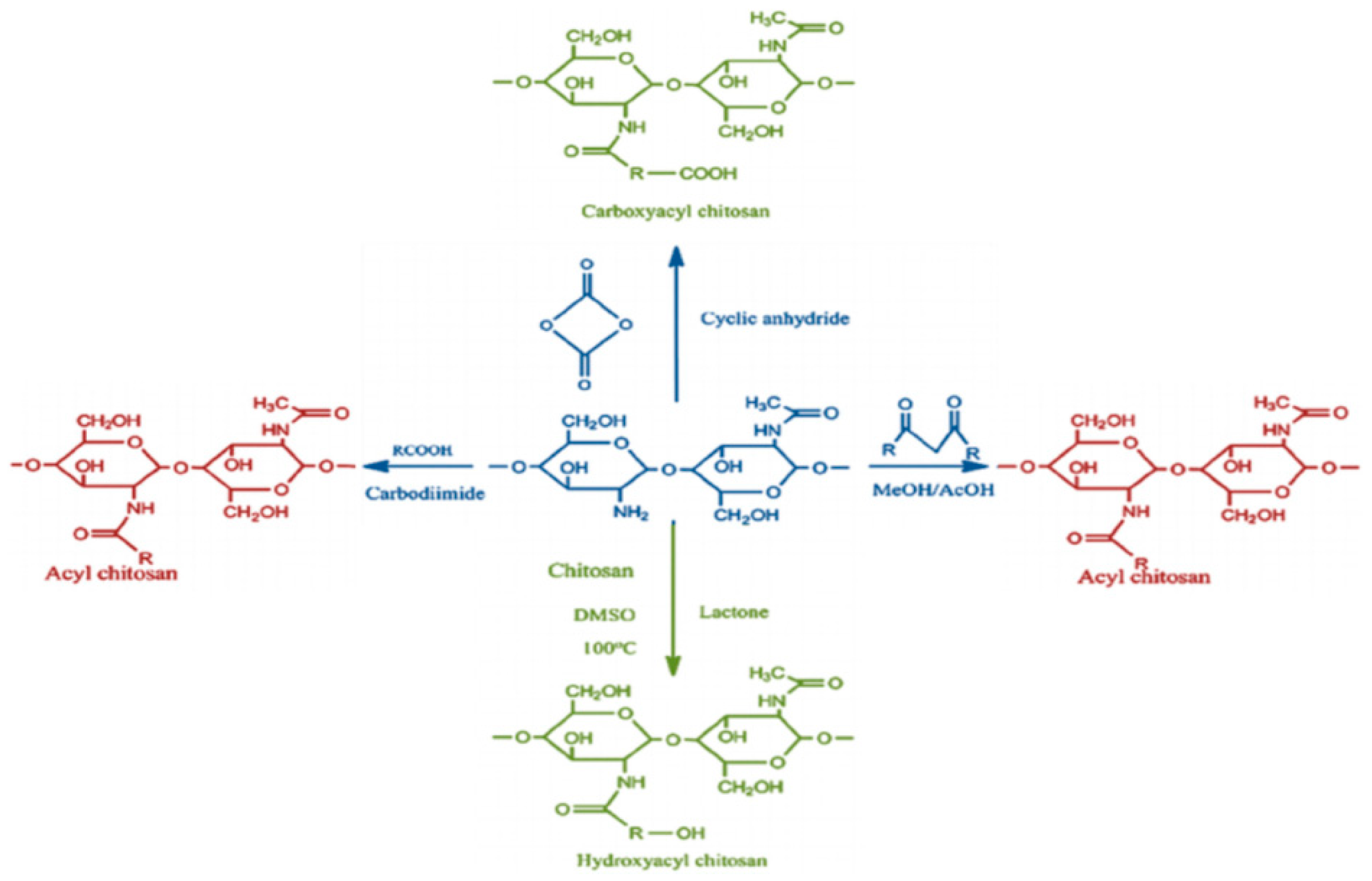 Bioengineering 11 01278 g003