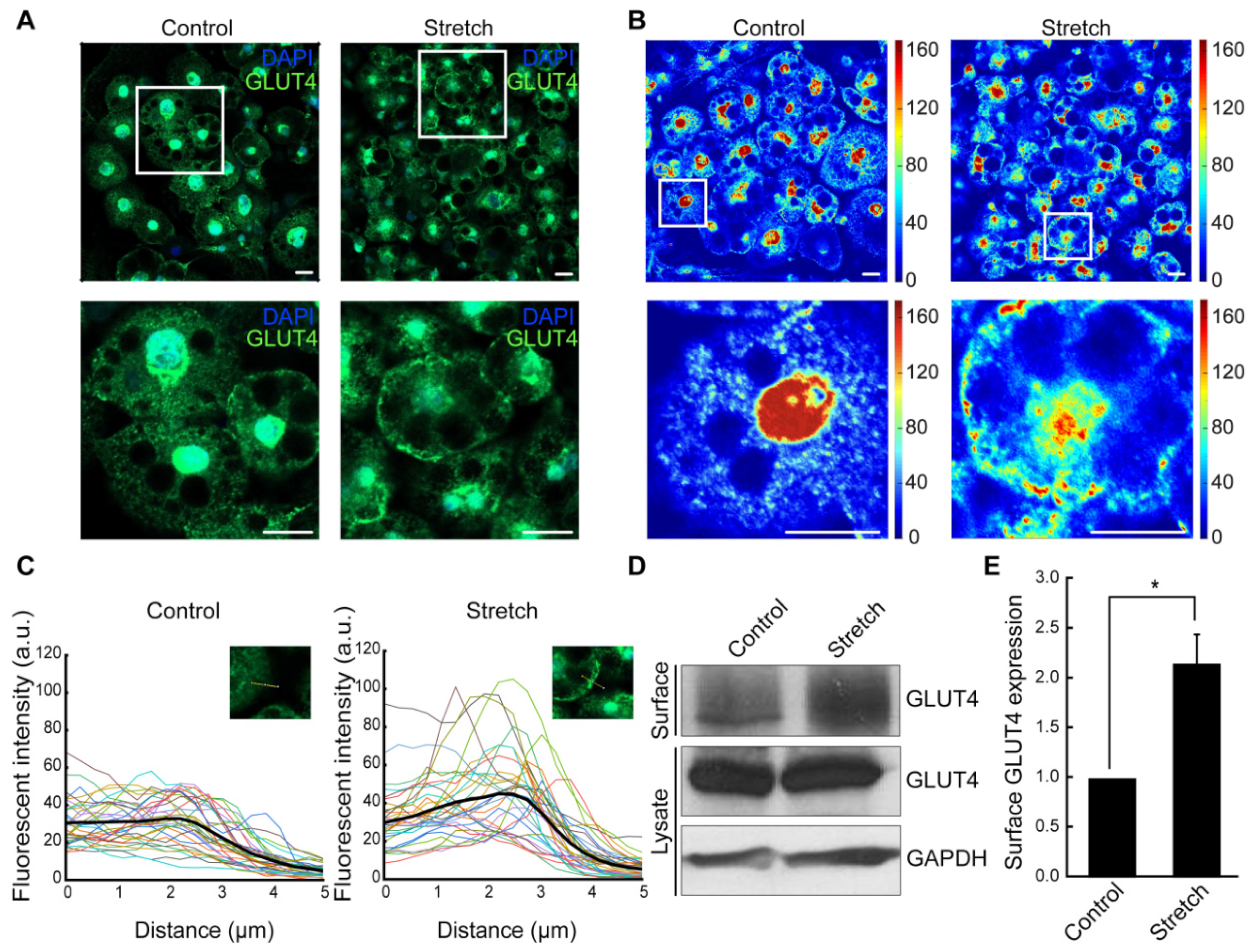 Bioengineering 11 01279 g002