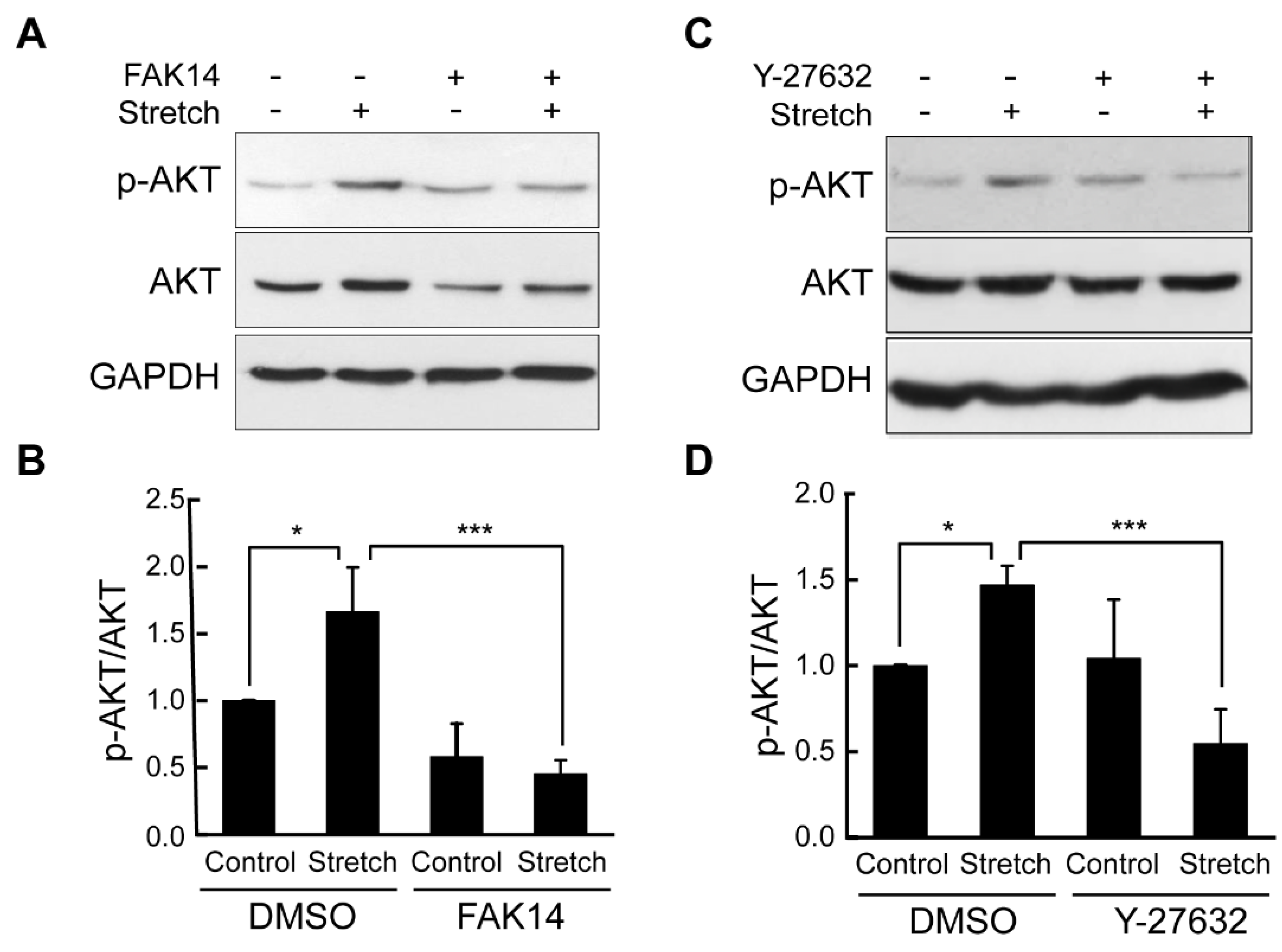 Bioengineering 11 01279 g004