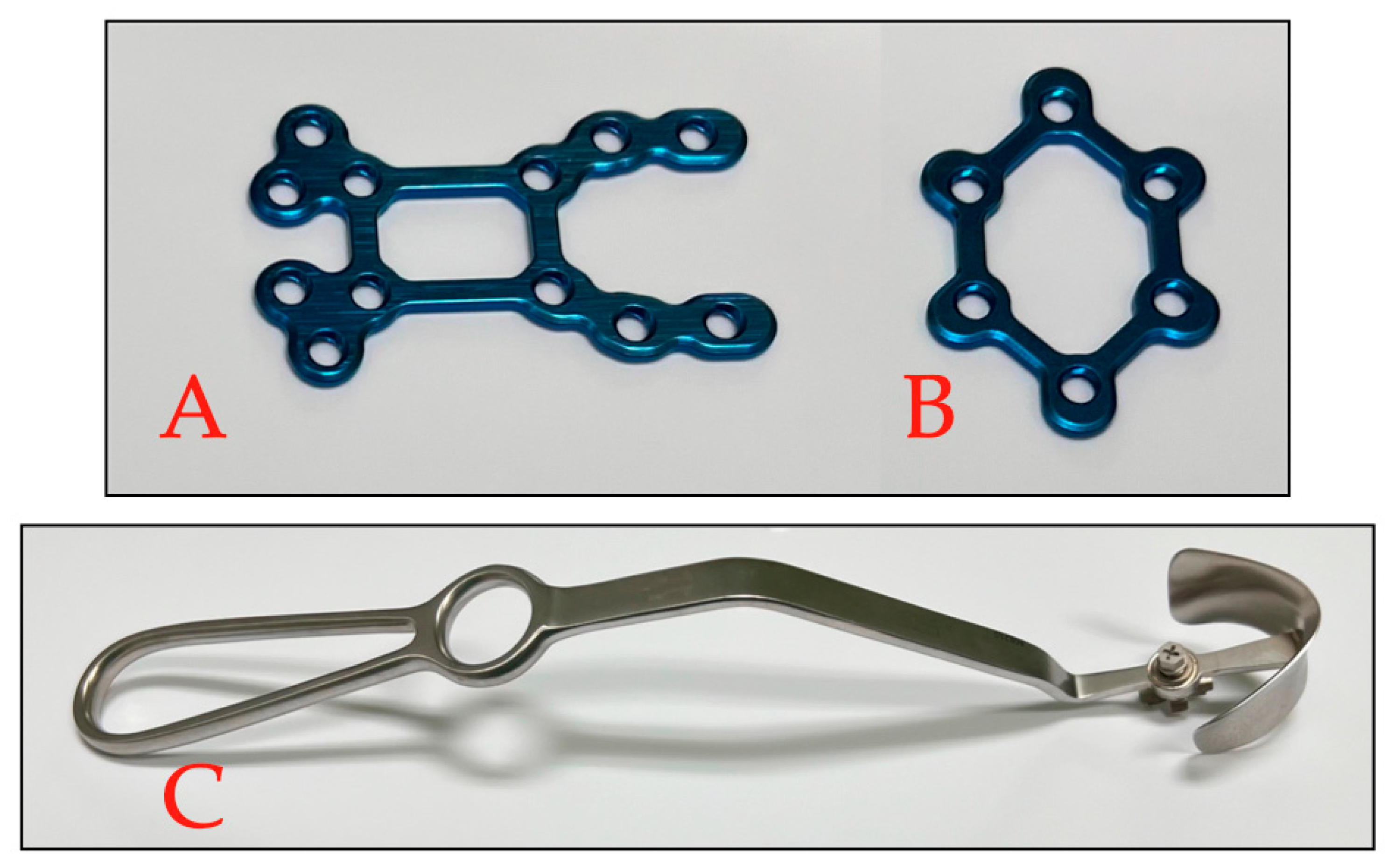 Bioengineering 11 01280 g001