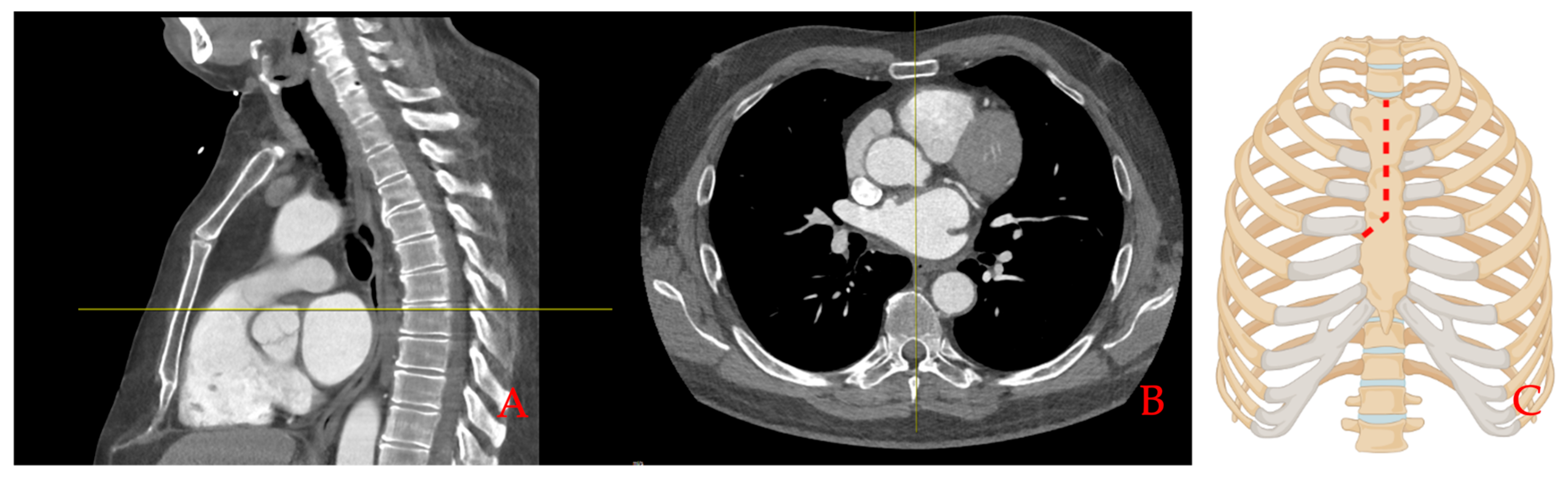 Bioengineering 11 01280 g002