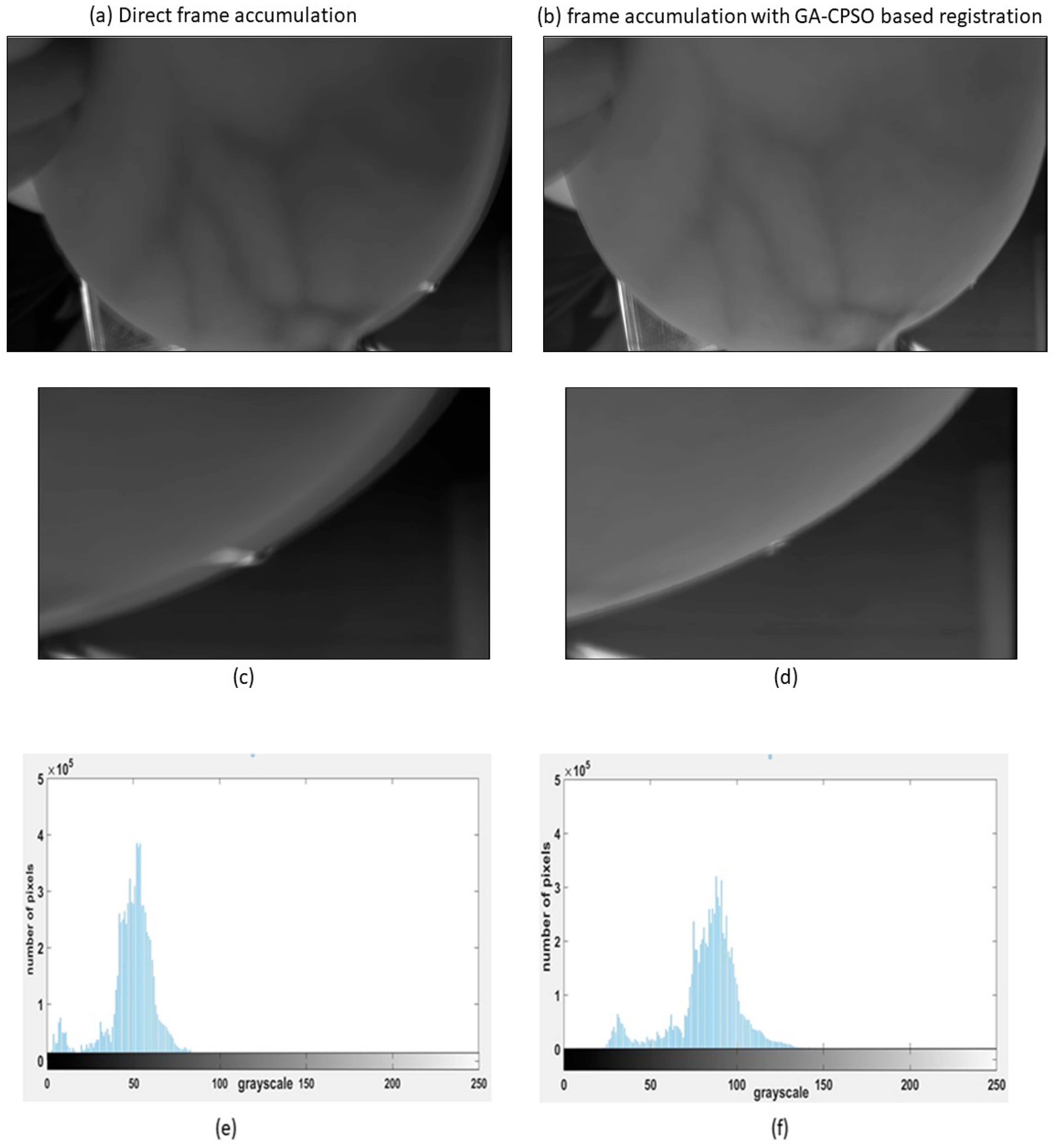 Bioengineering 11 01281 g008