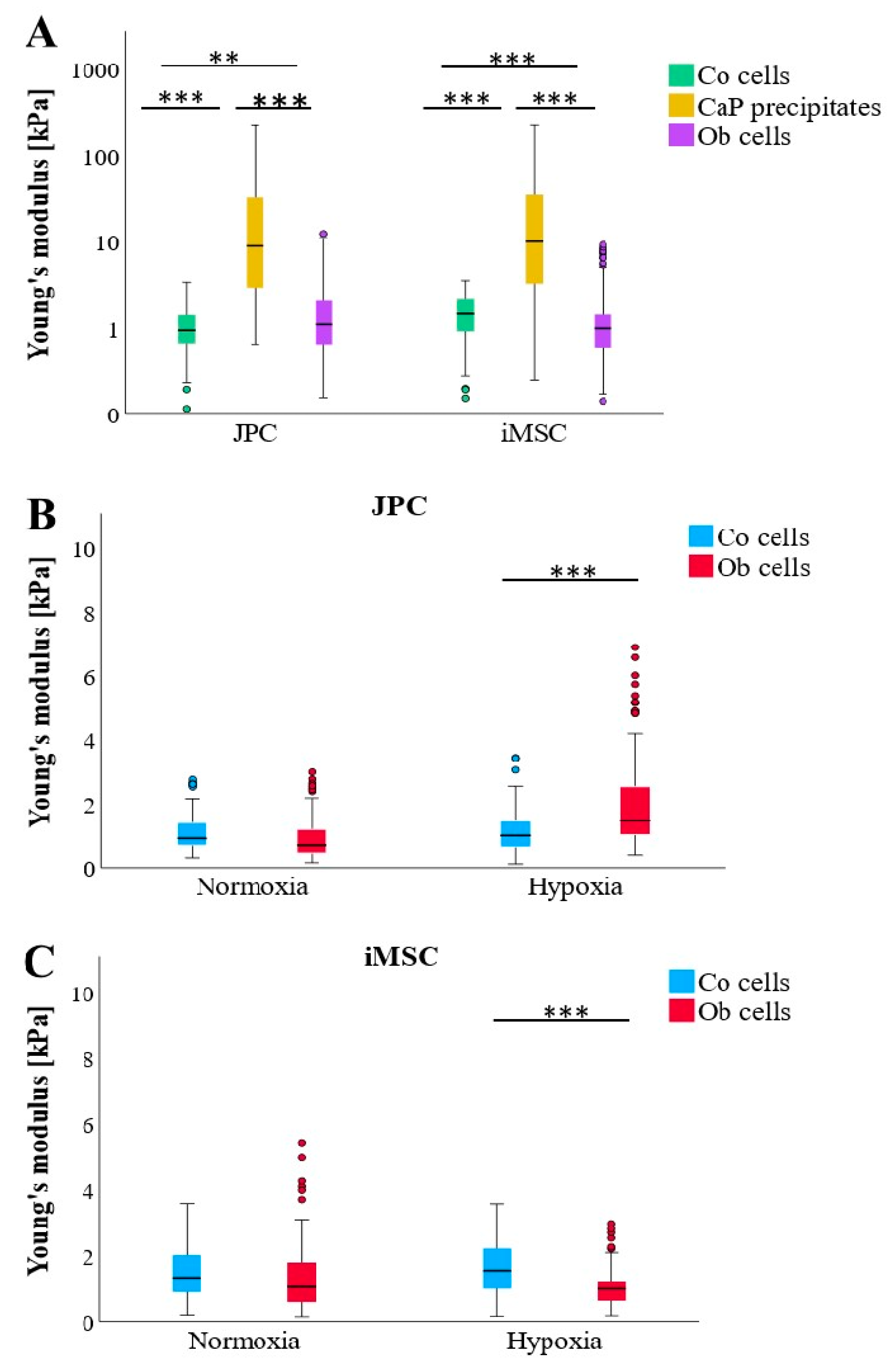 Bioengineering 11 01282 g003