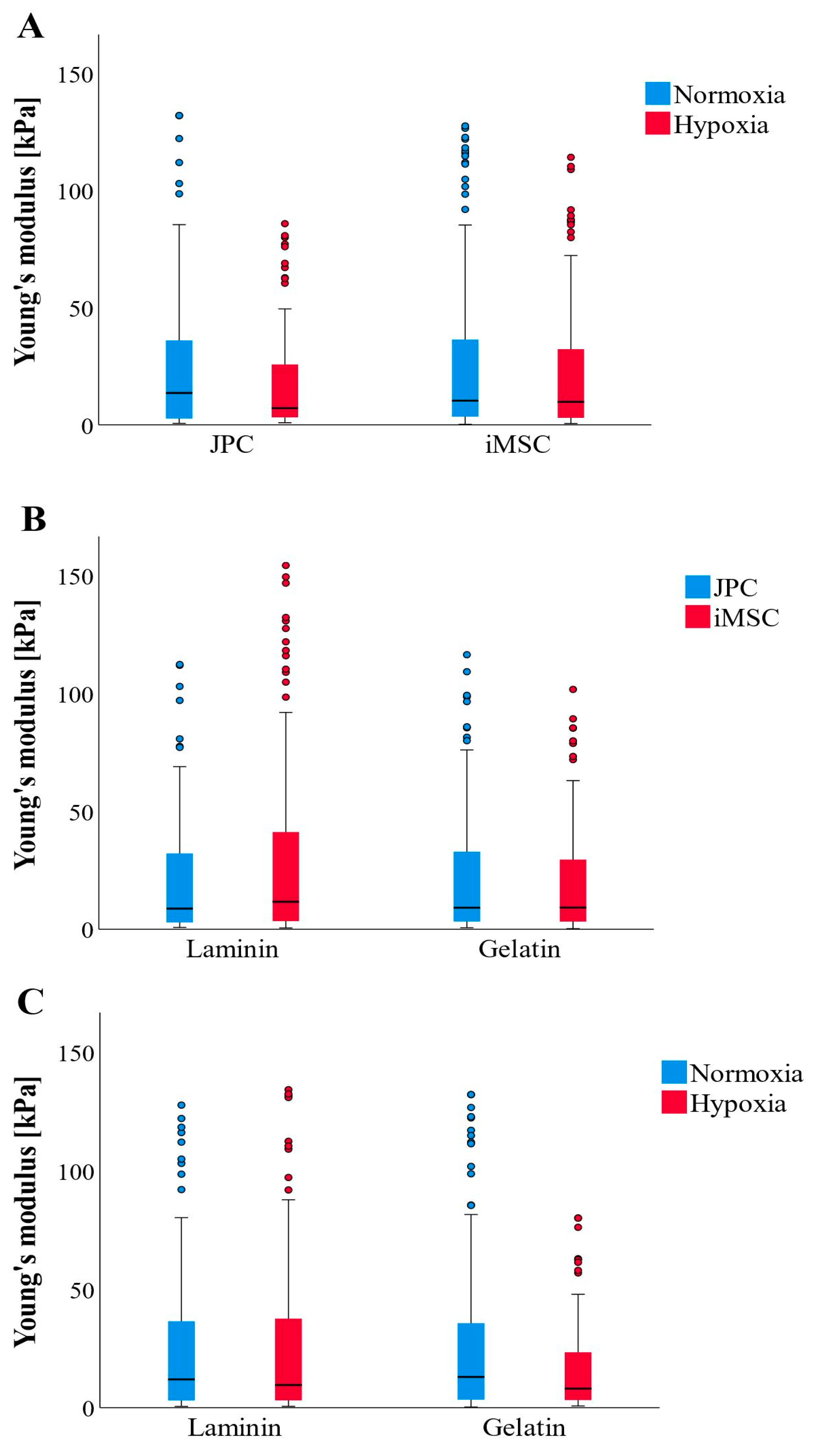 Bioengineering 11 01282 g004