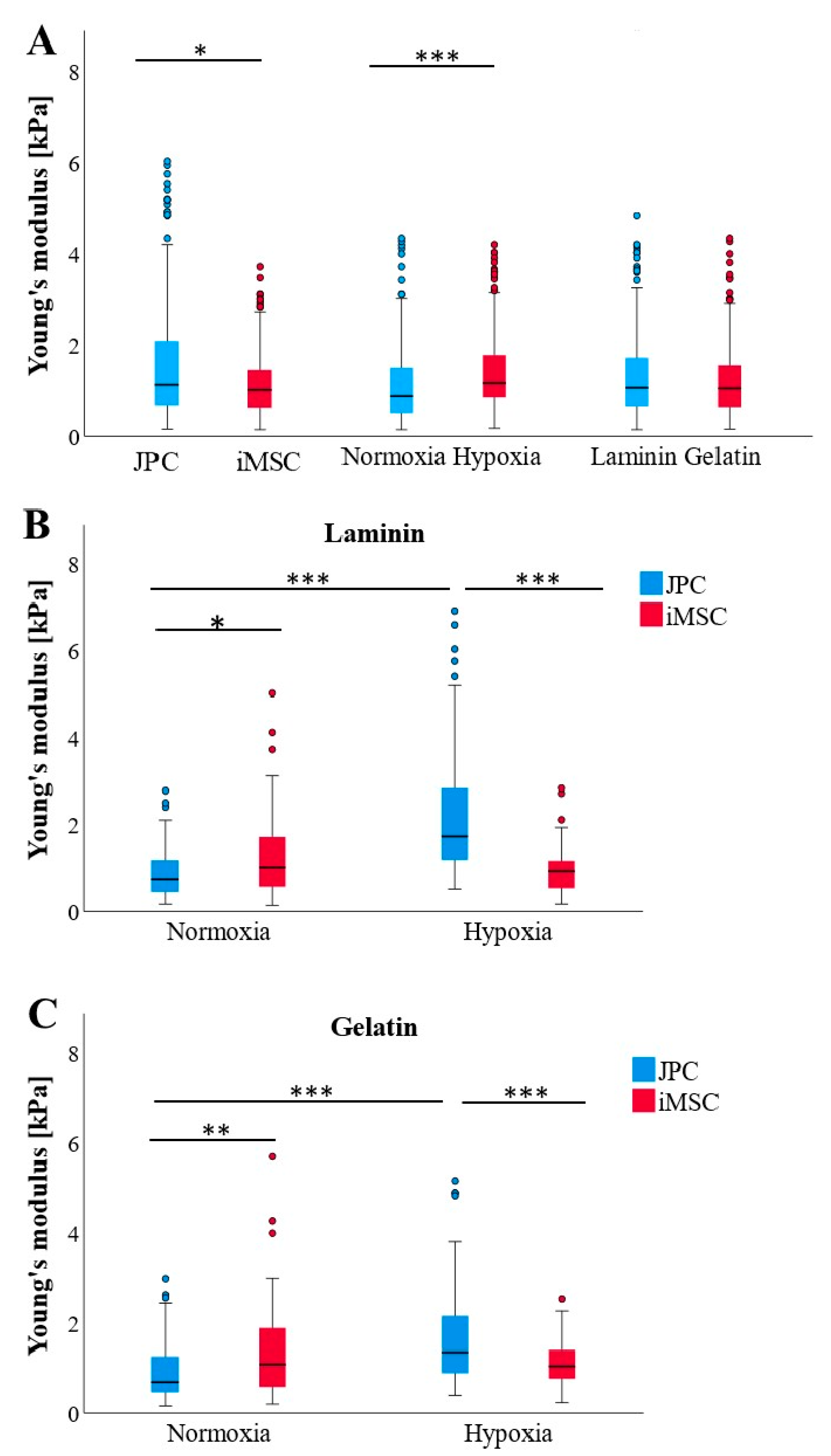 Bioengineering 11 01282 g005