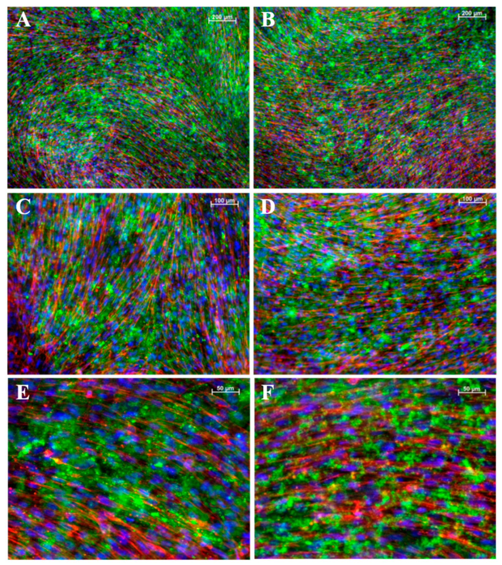 Bioengineering 11 01282 g007