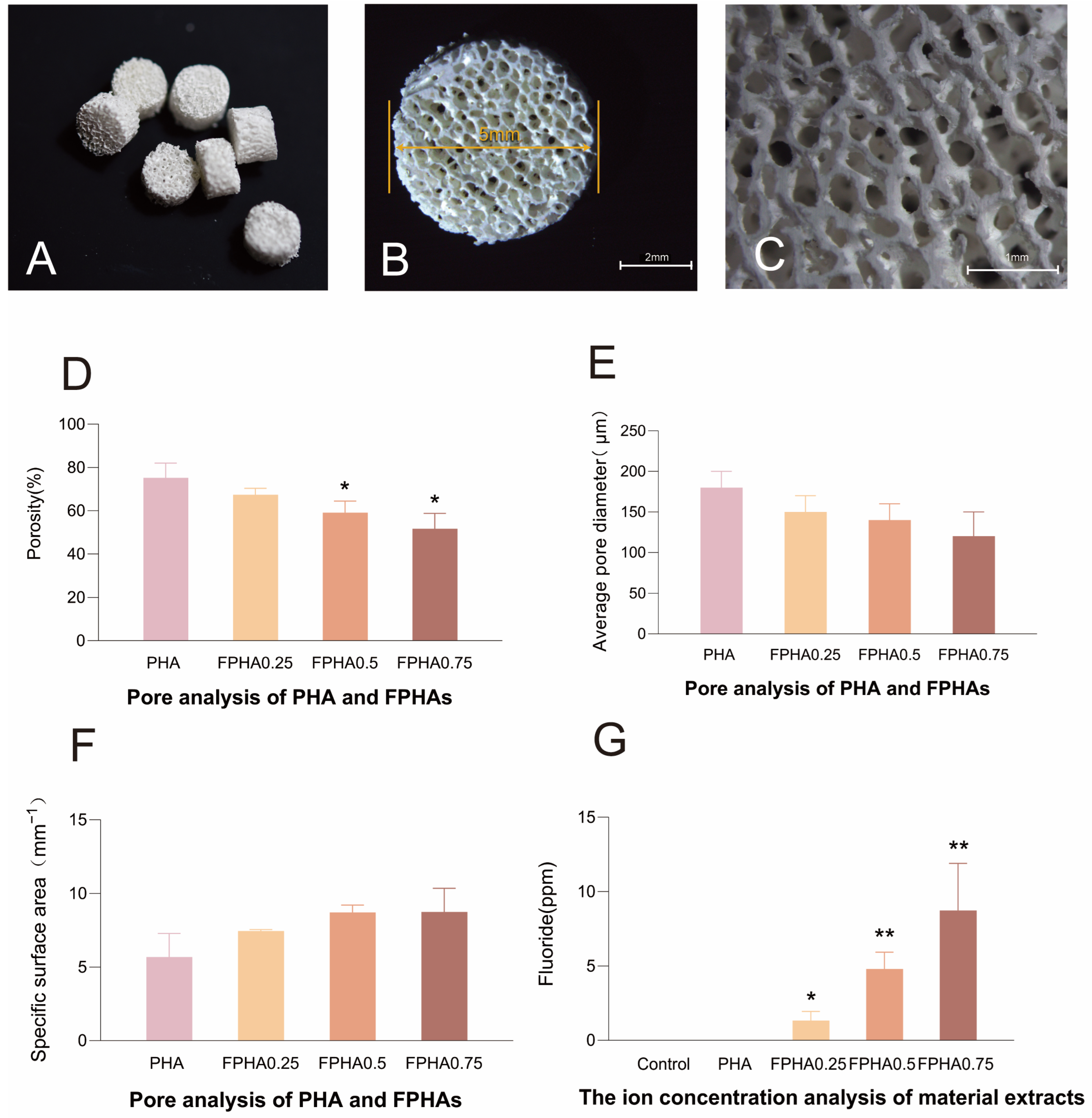 Bioengineering 11 01287 g001