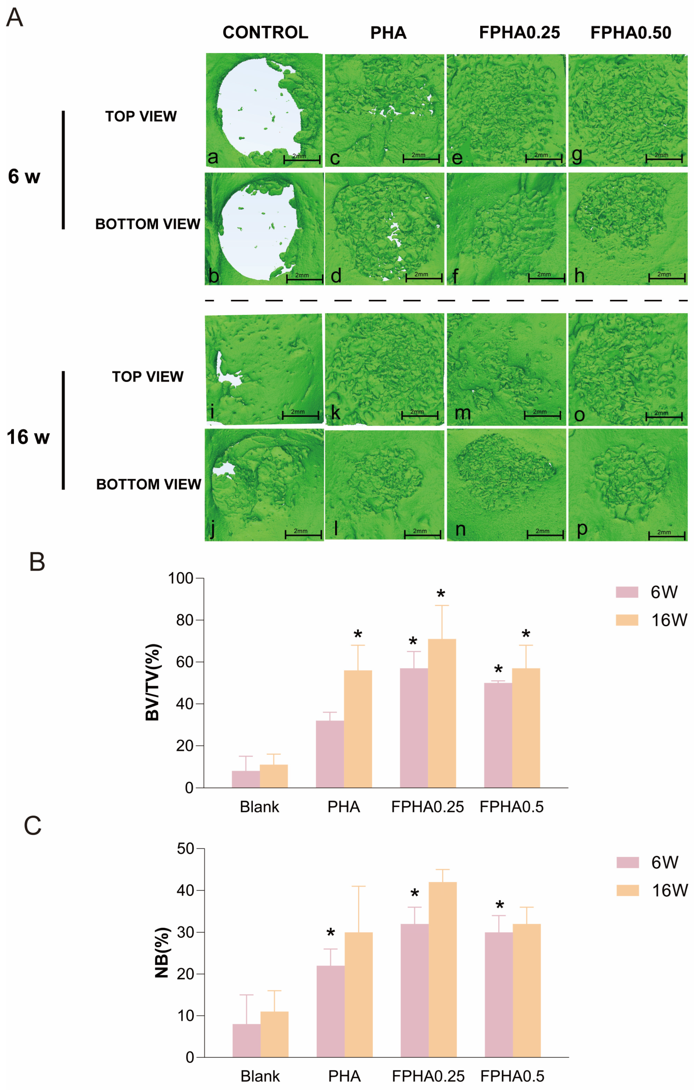 Bioengineering 11 01287 g005
