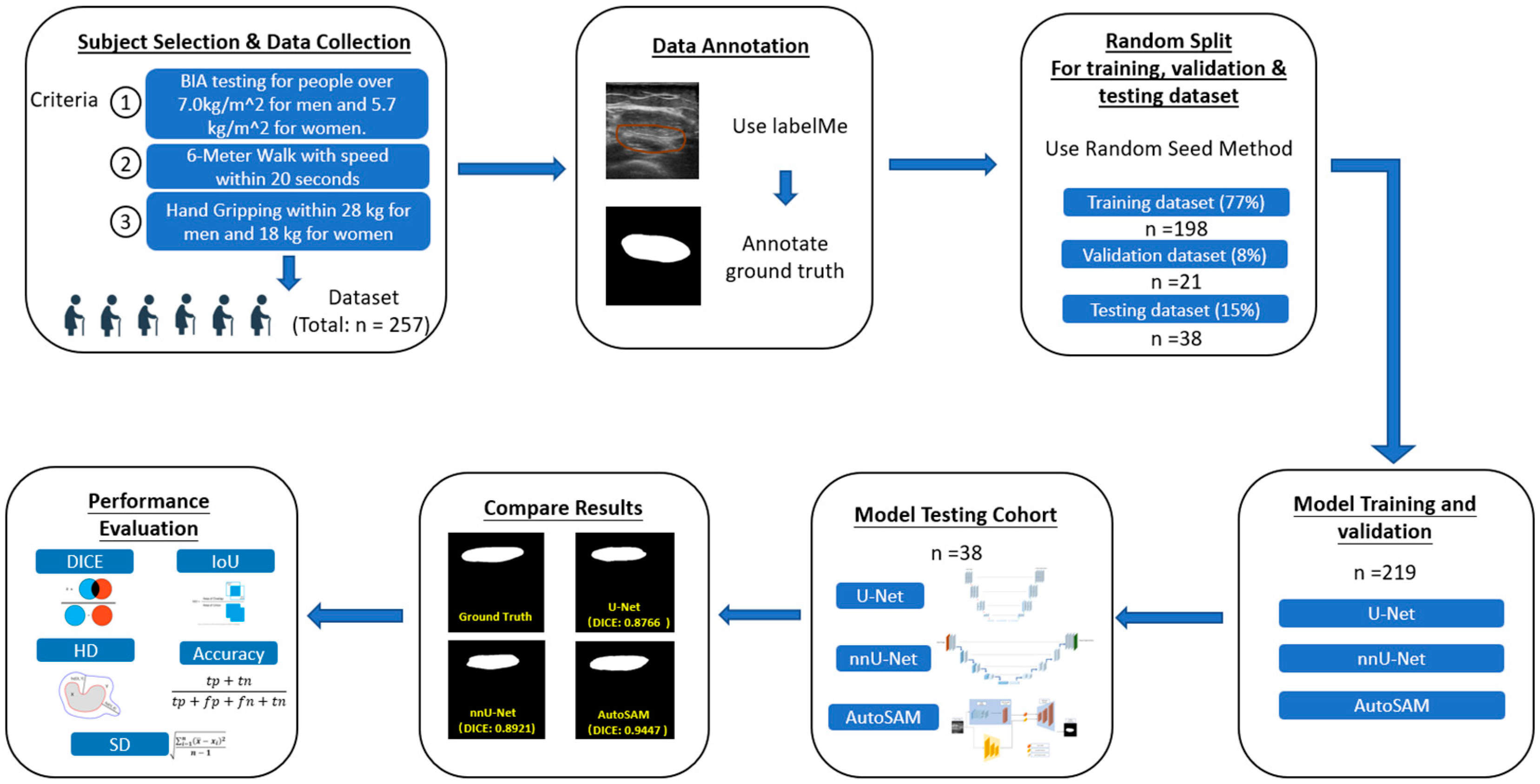 Bioengineering 11 01291 g001