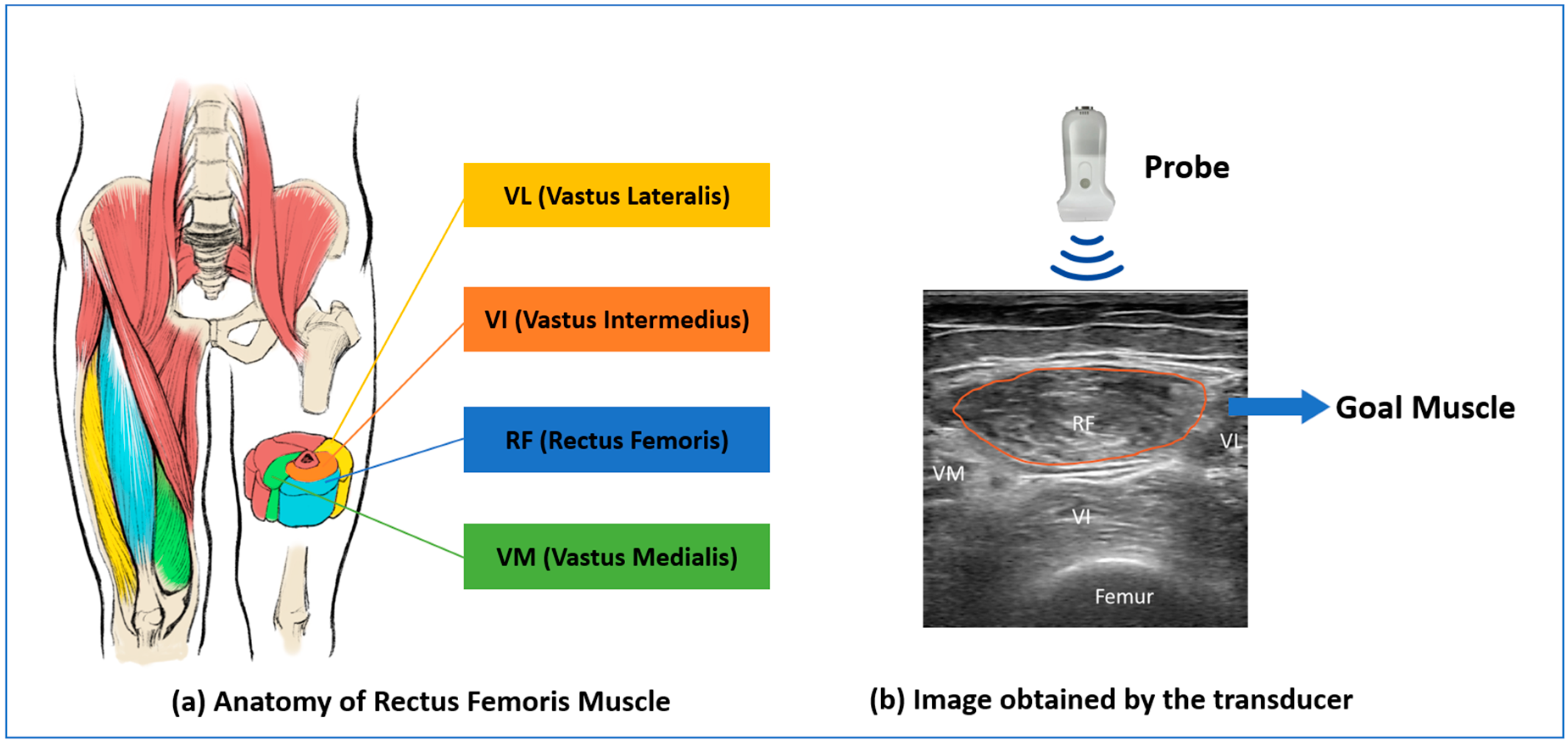 Bioengineering 11 01291 g002