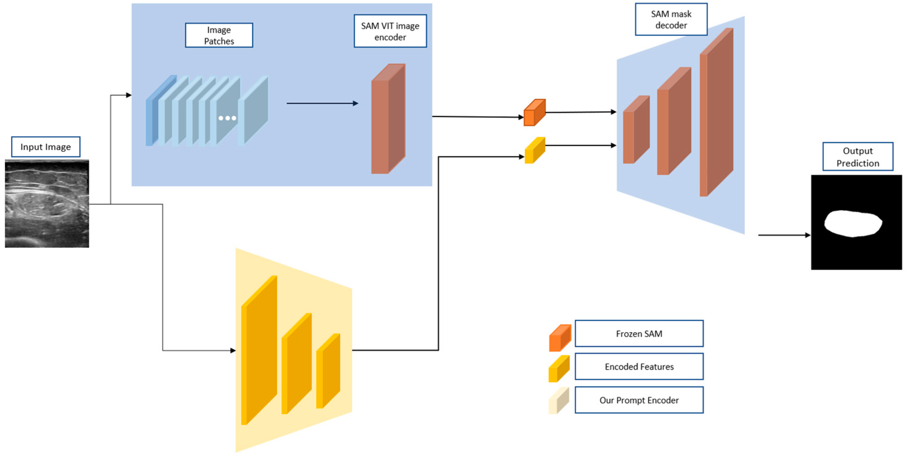 Bioengineering 11 01291 g006