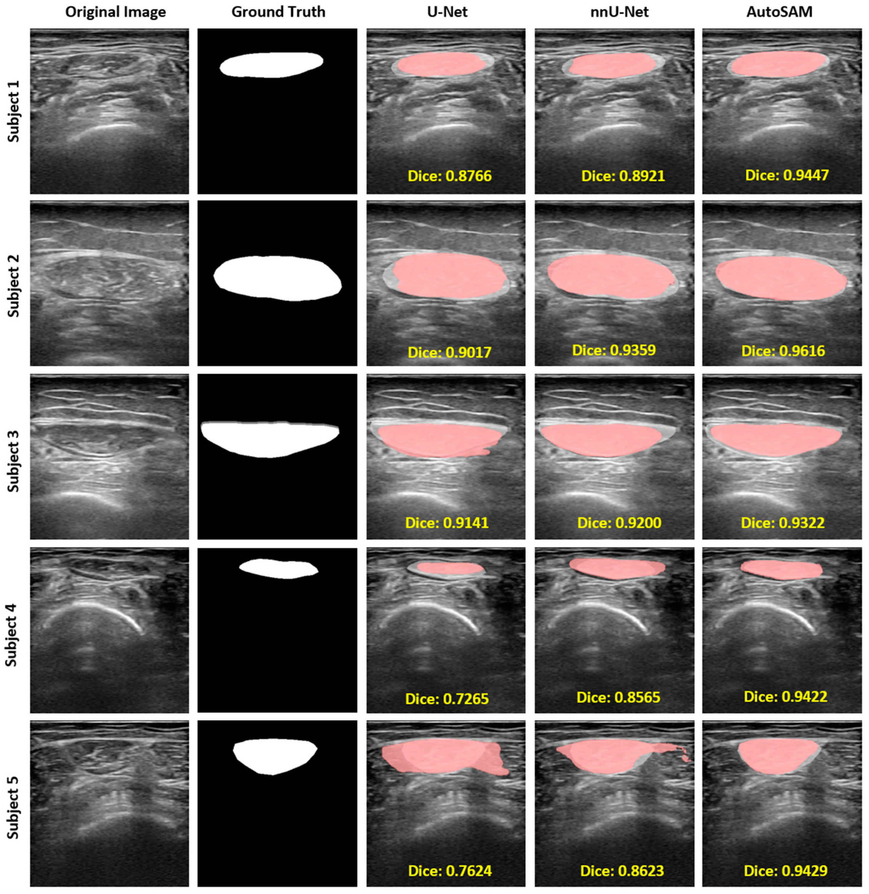 Bioengineering 11 01291 g007