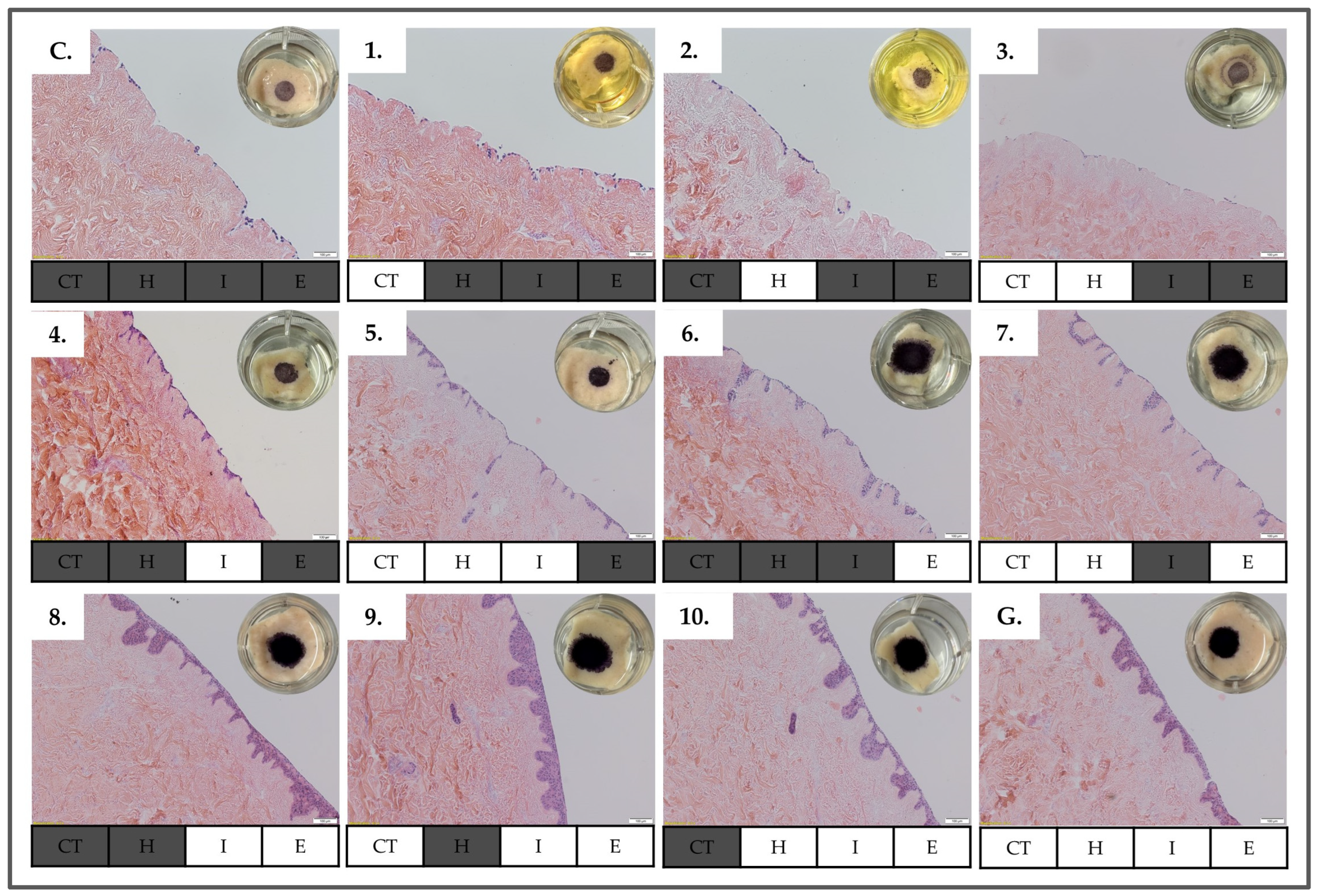 Bioengineering 11 01297 g004