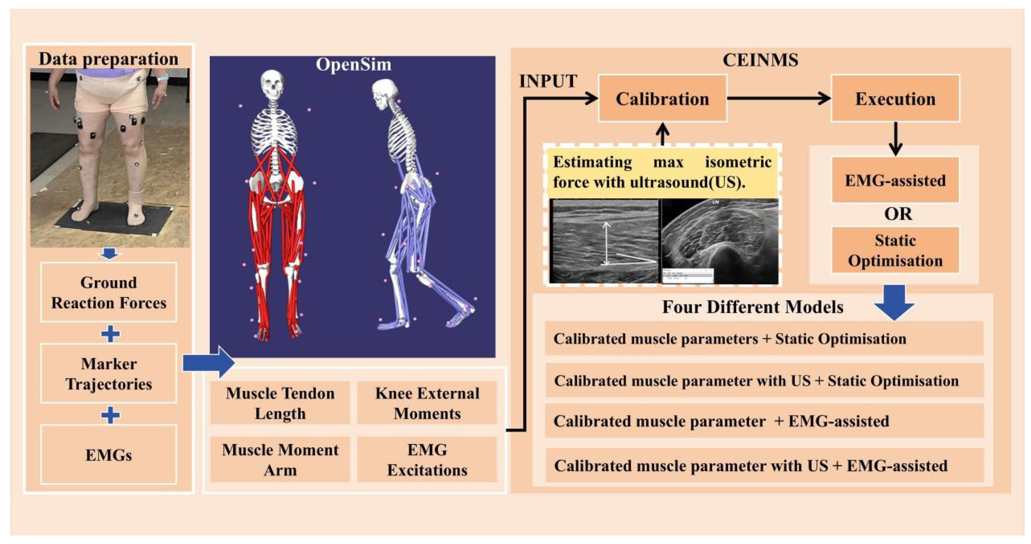 Bioengineering 11 01299 g001