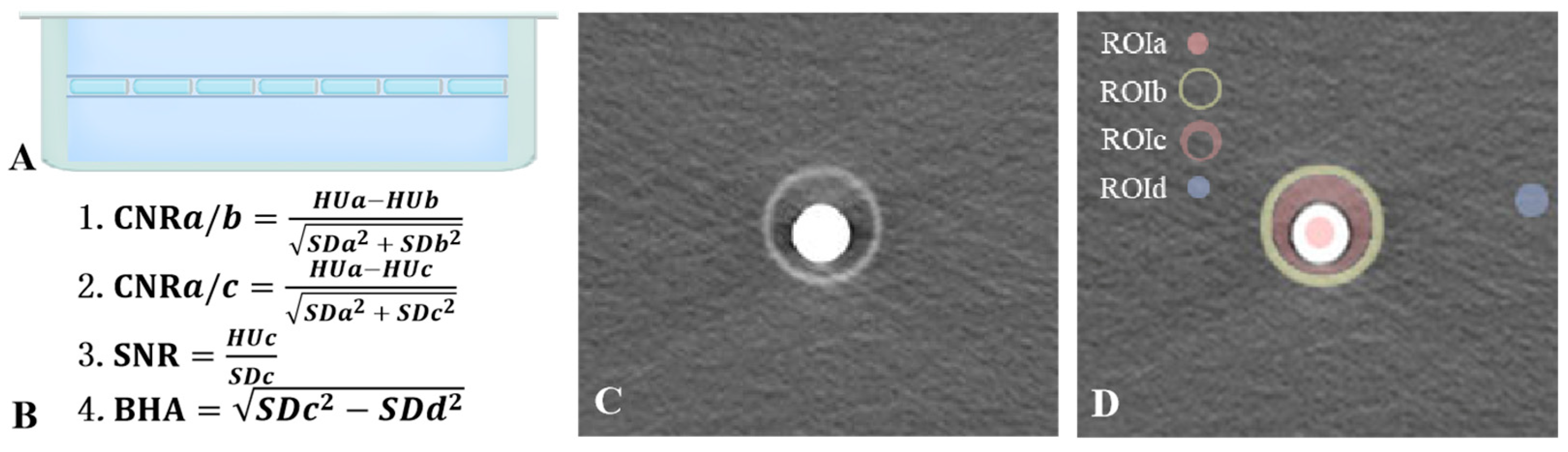 Bioengineering 11 01300 g001