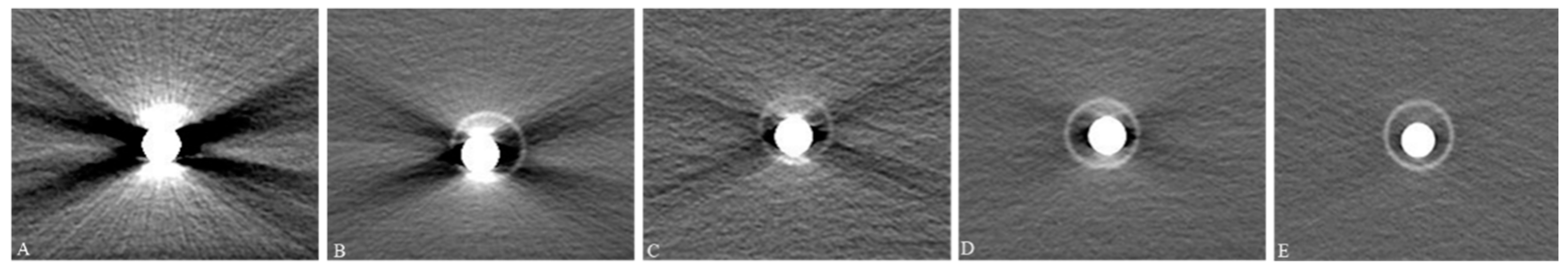 Bioengineering 11 01300 g002