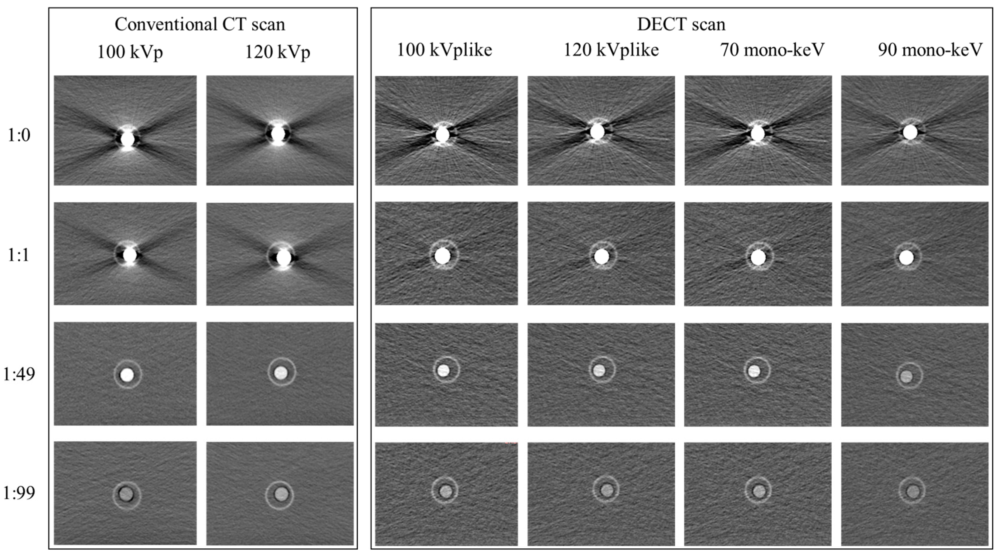 Bioengineering 11 01300 g004