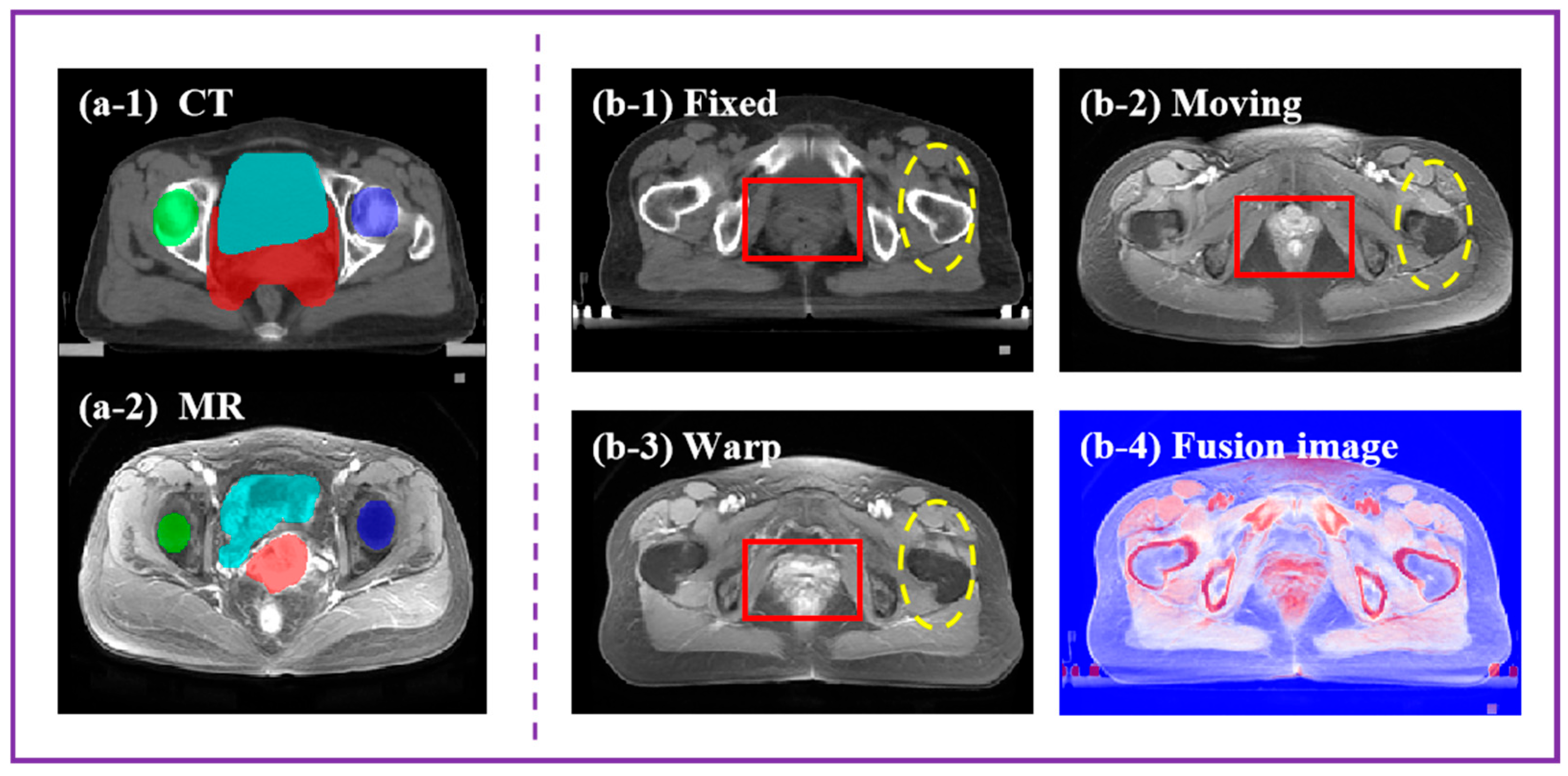 Bioengineering 11 01304 g001