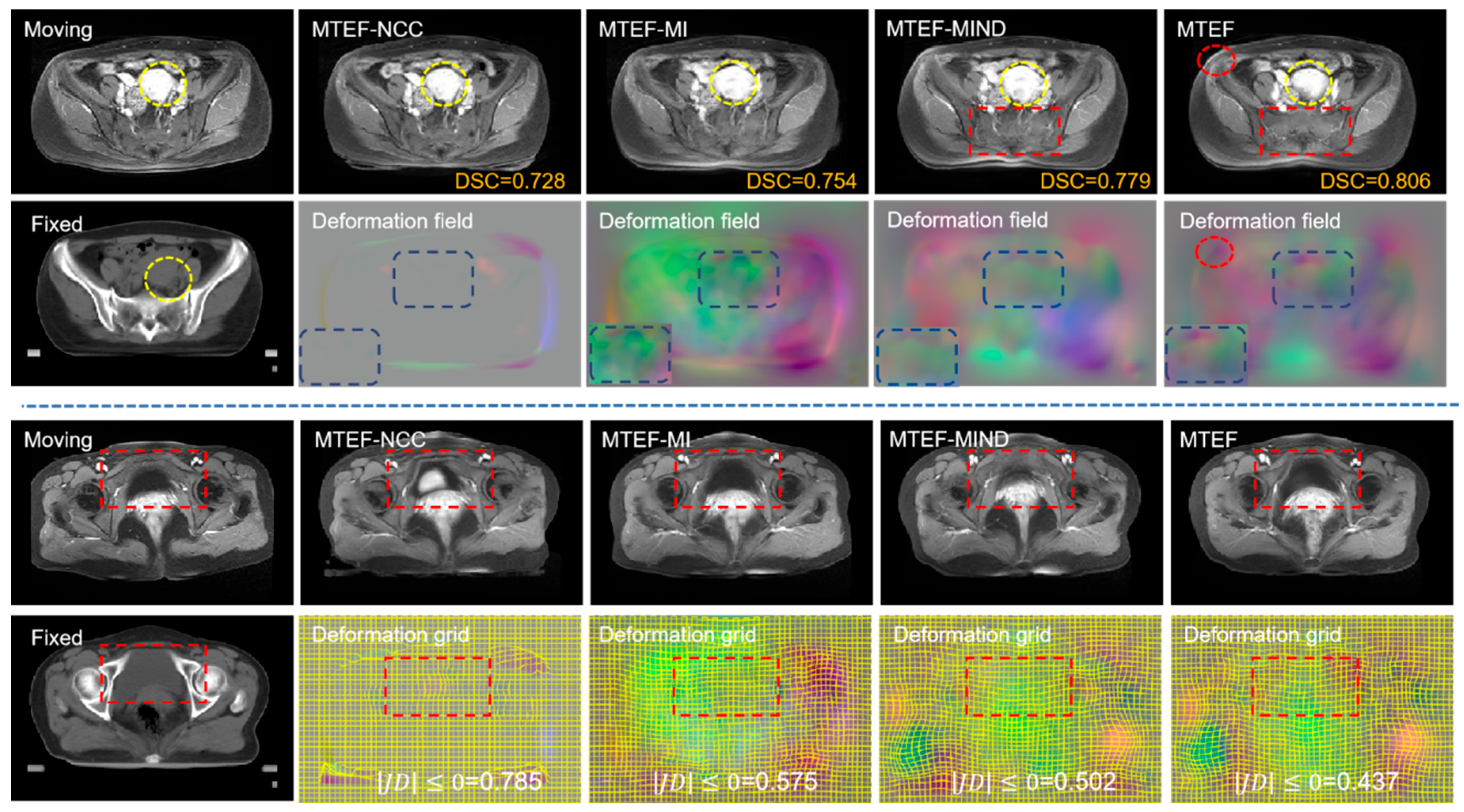 Bioengineering 11 01304 g011