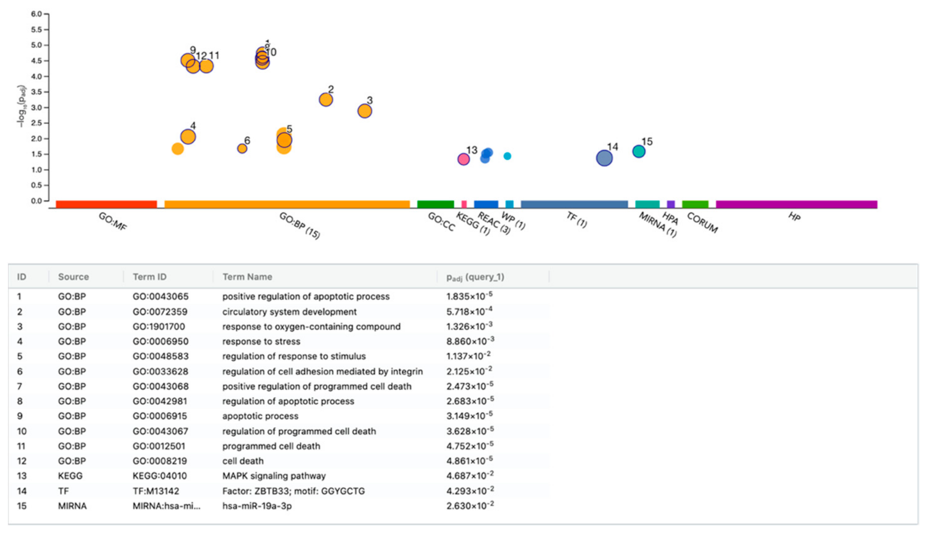 Bioengineering 11 01307 g008