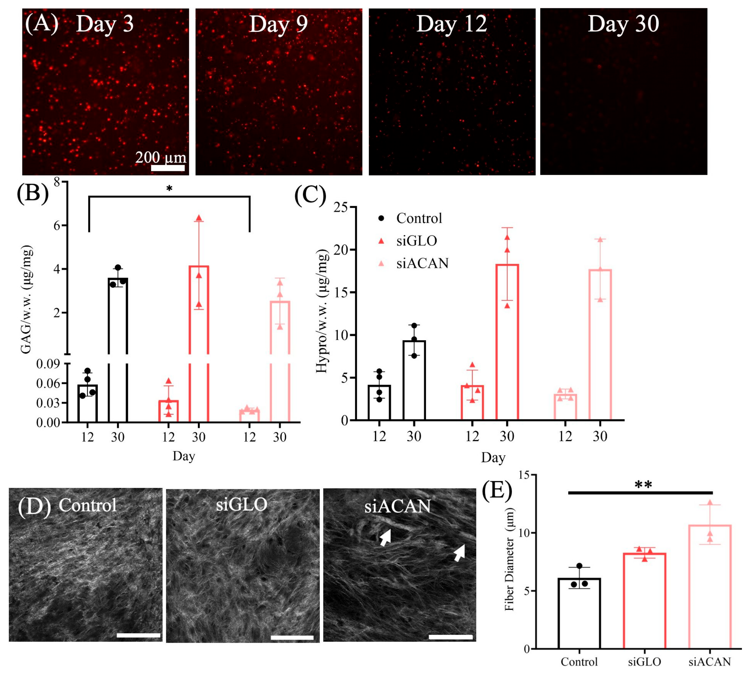 Bioengineering 11 01308 g002