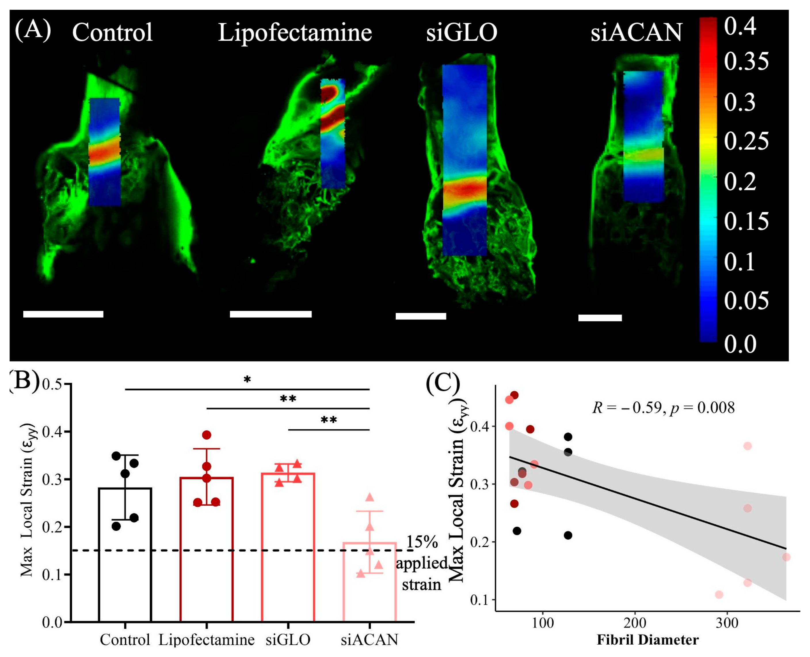 Bioengineering 11 01308 g006