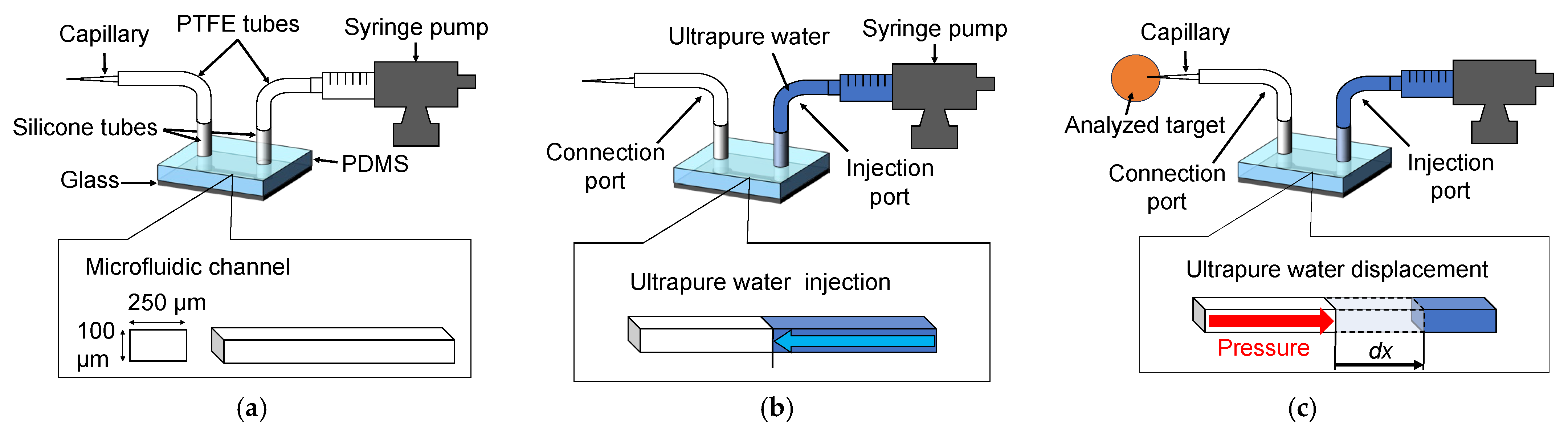 Bioengineering 12 00003 g001