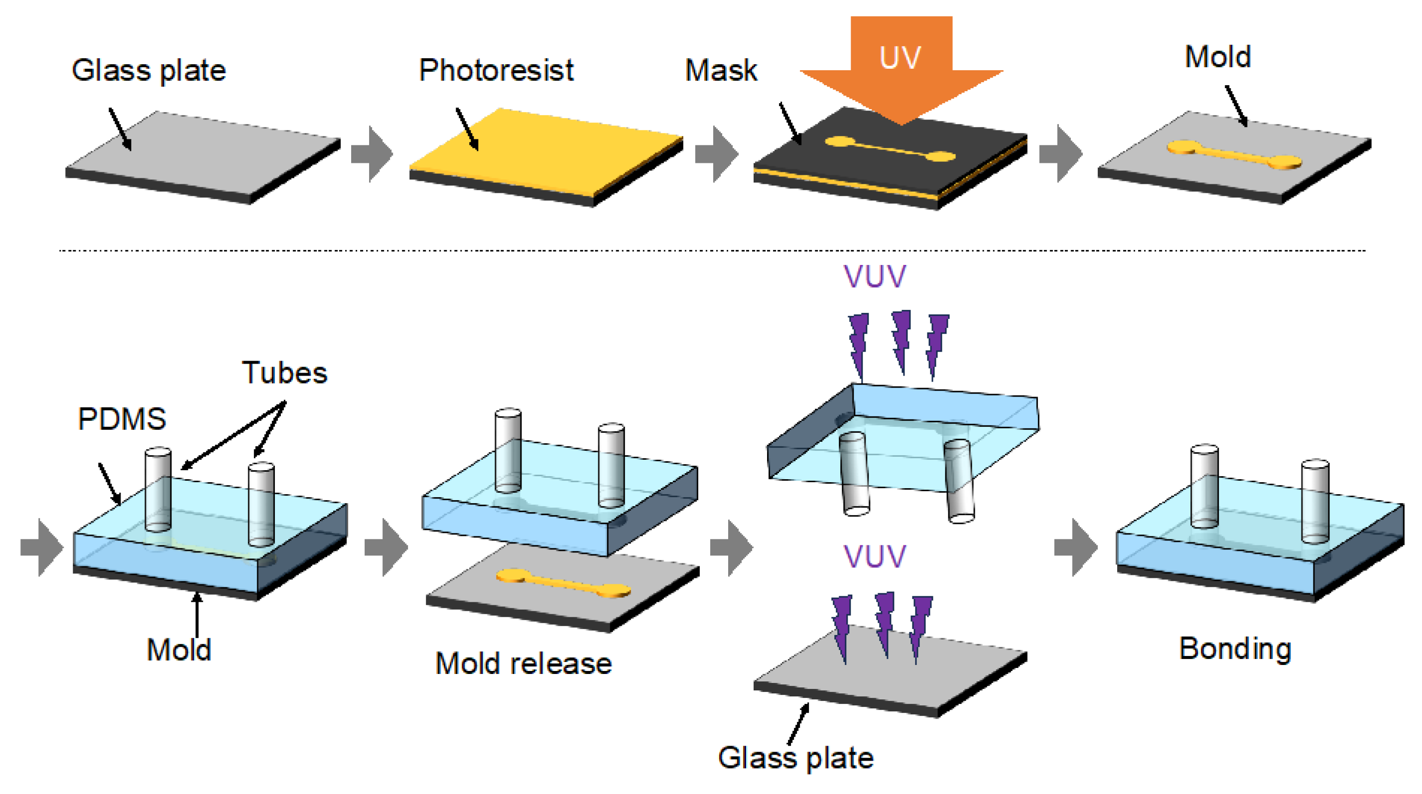 Bioengineering 12 00003 g002