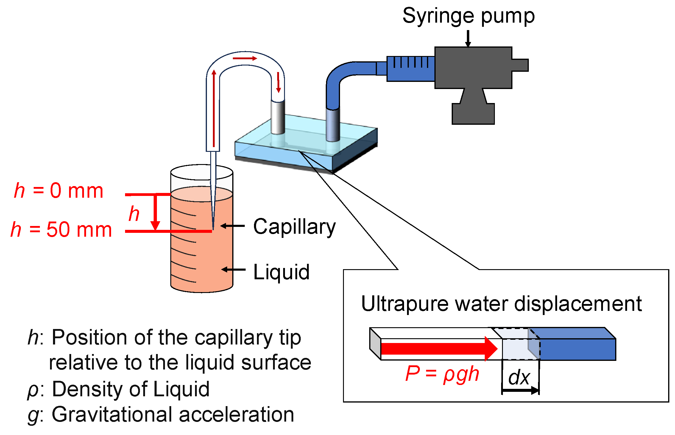 Bioengineering 12 00003 g003
