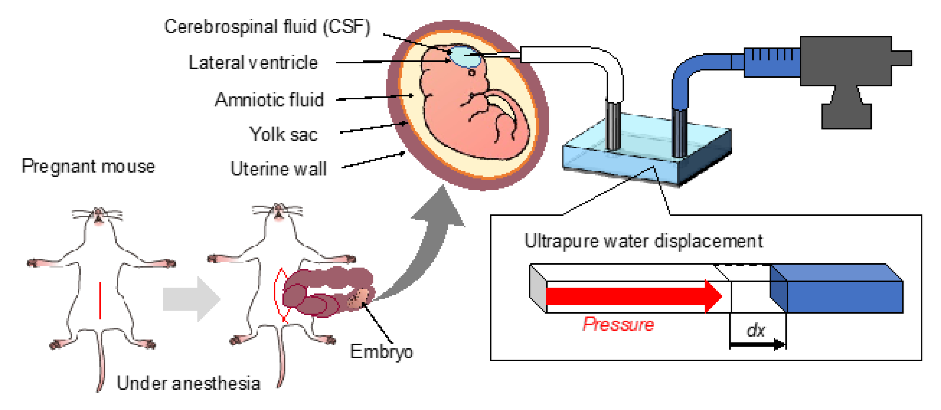 Bioengineering 12 00003 g004