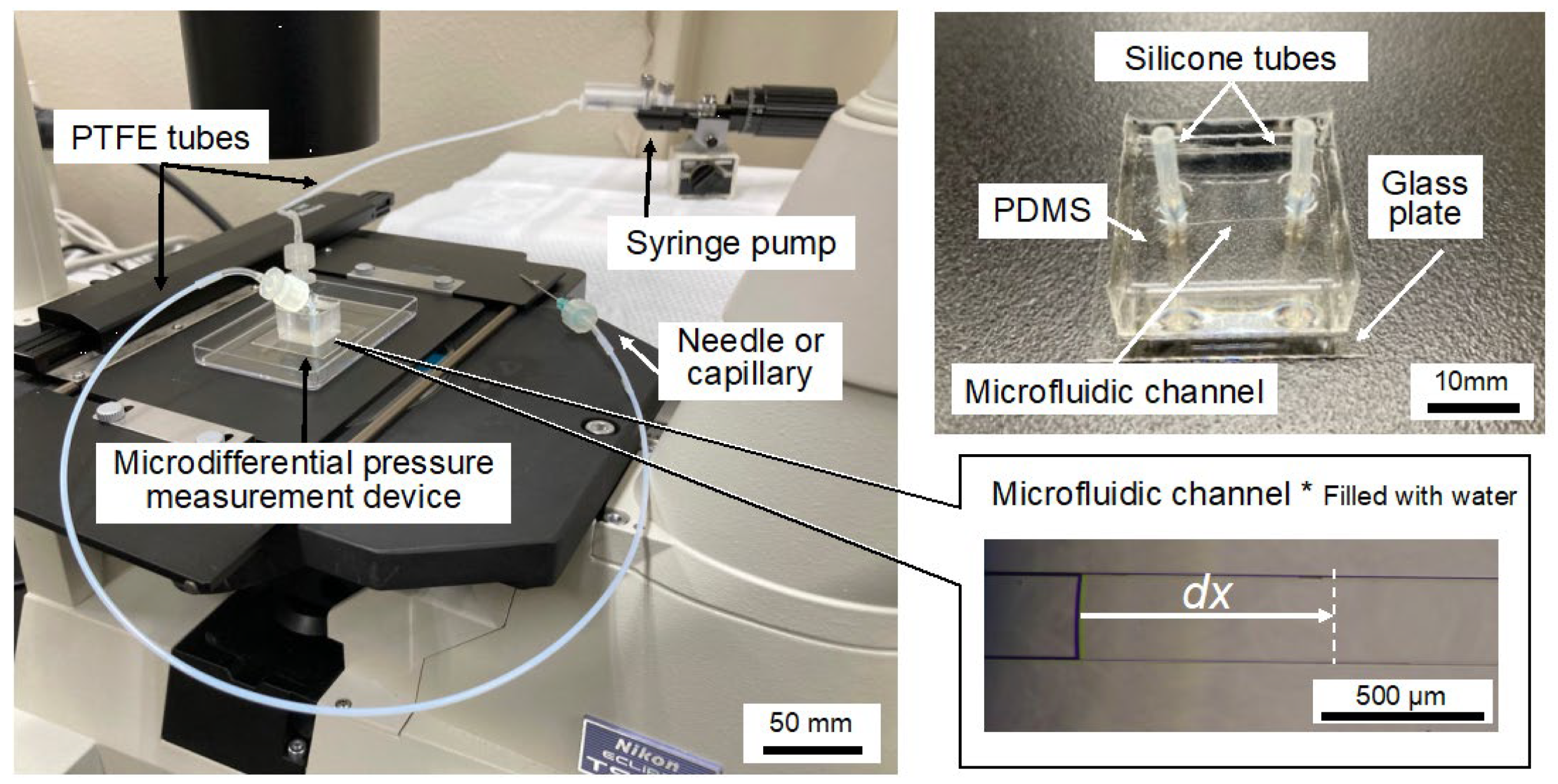 Bioengineering 12 00003 g005