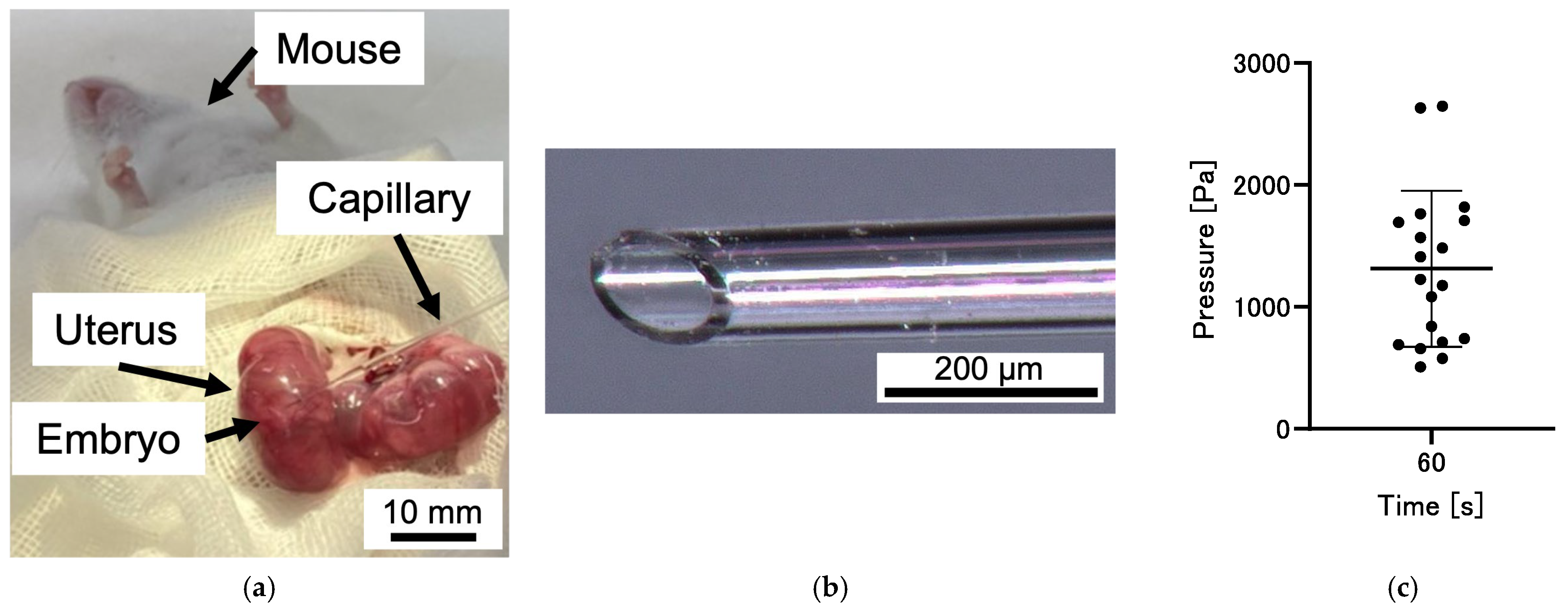 Bioengineering 12 00003 g009