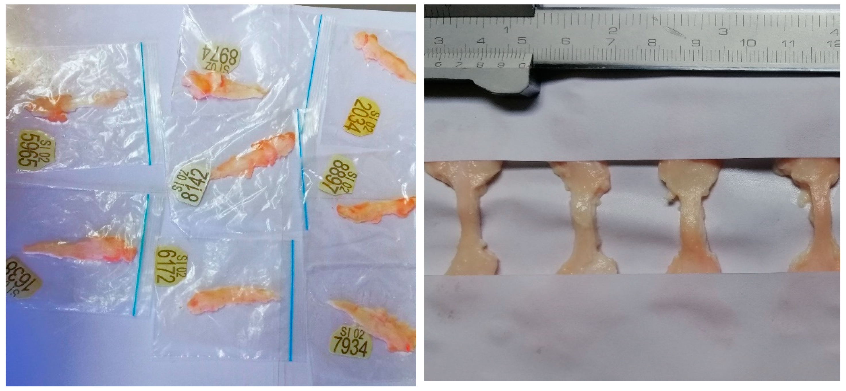 Bioengineering 12 00005 g002