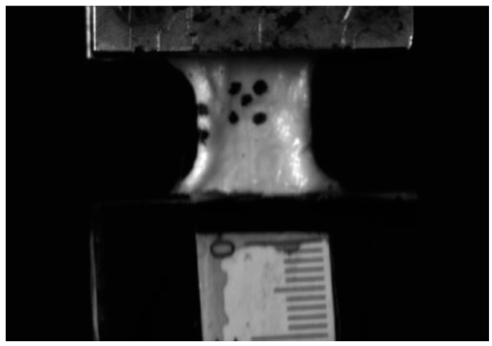 Bioengineering 12 00005 g005