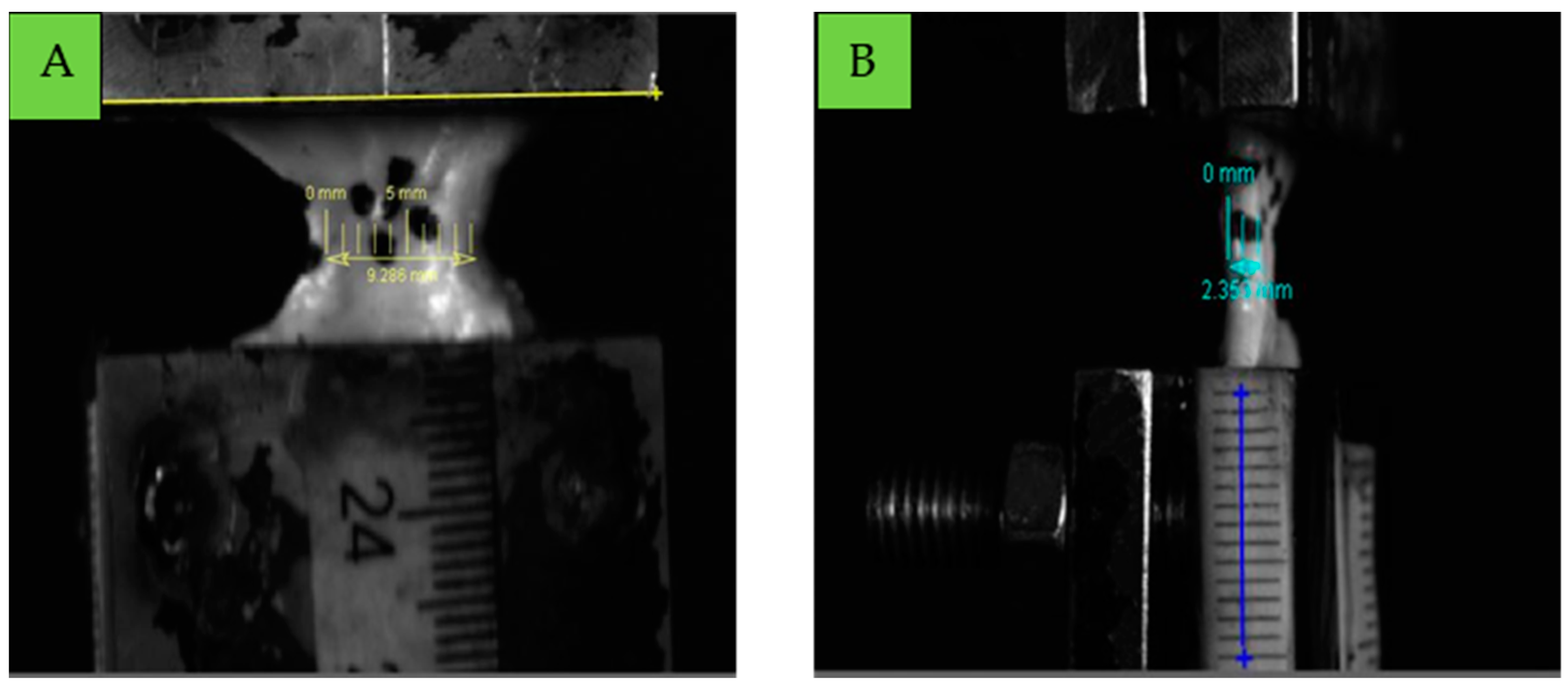 Bioengineering 12 00005 g006