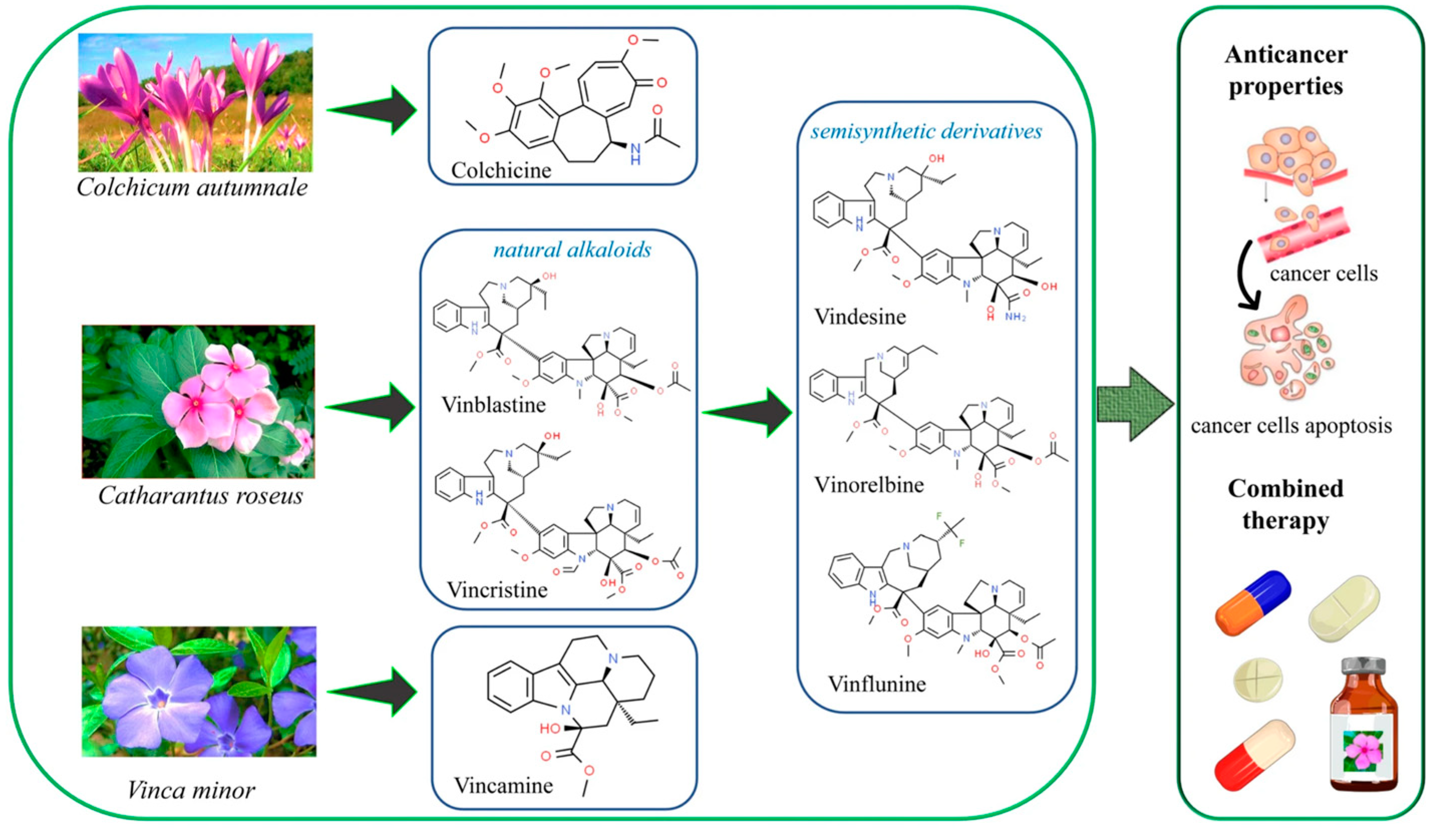 Bioengineering 12 00007 g001 Bioengineering 12 00007 g001