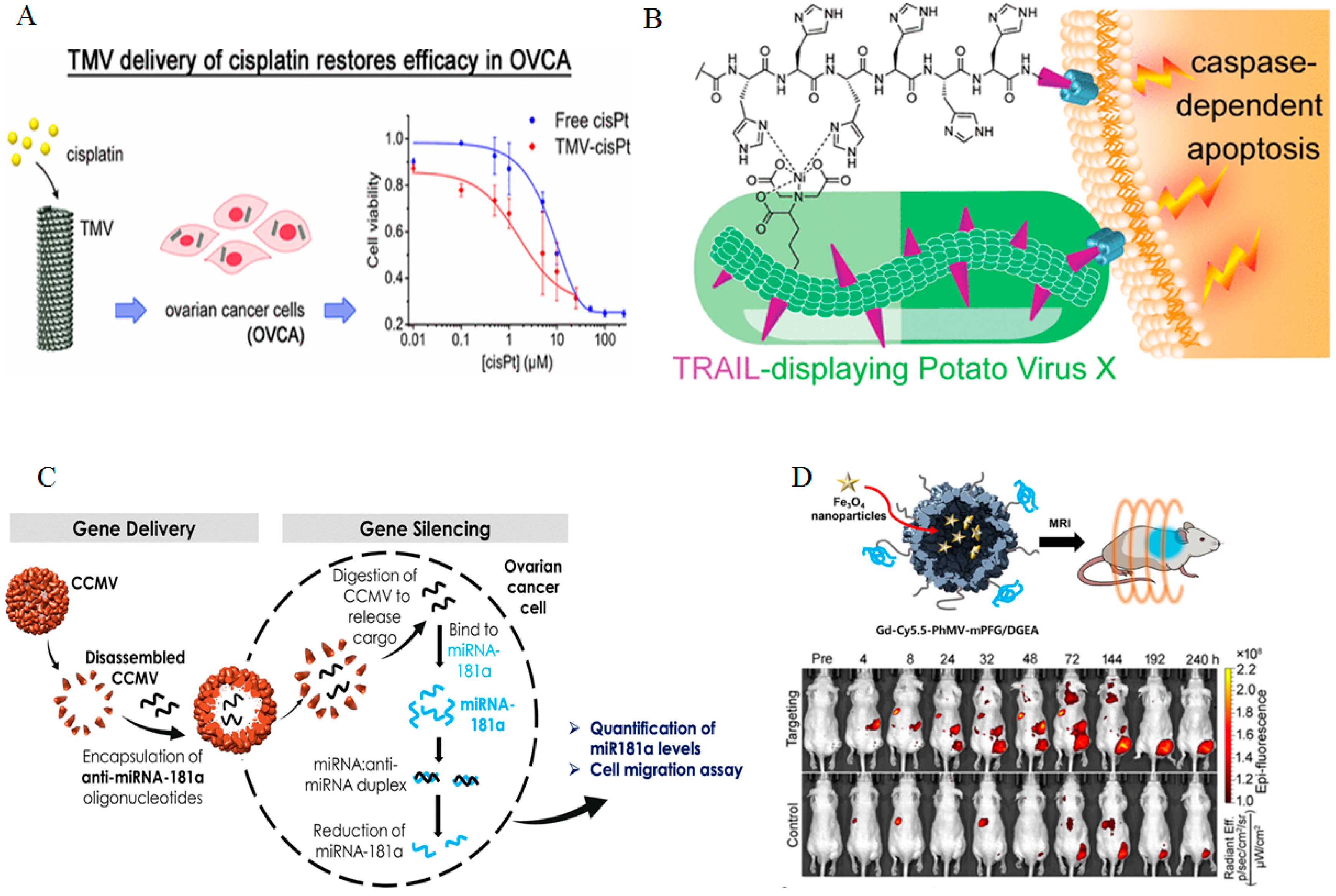 Bioengineering 12 00007 g003 Bioengineering 12 00007 g003