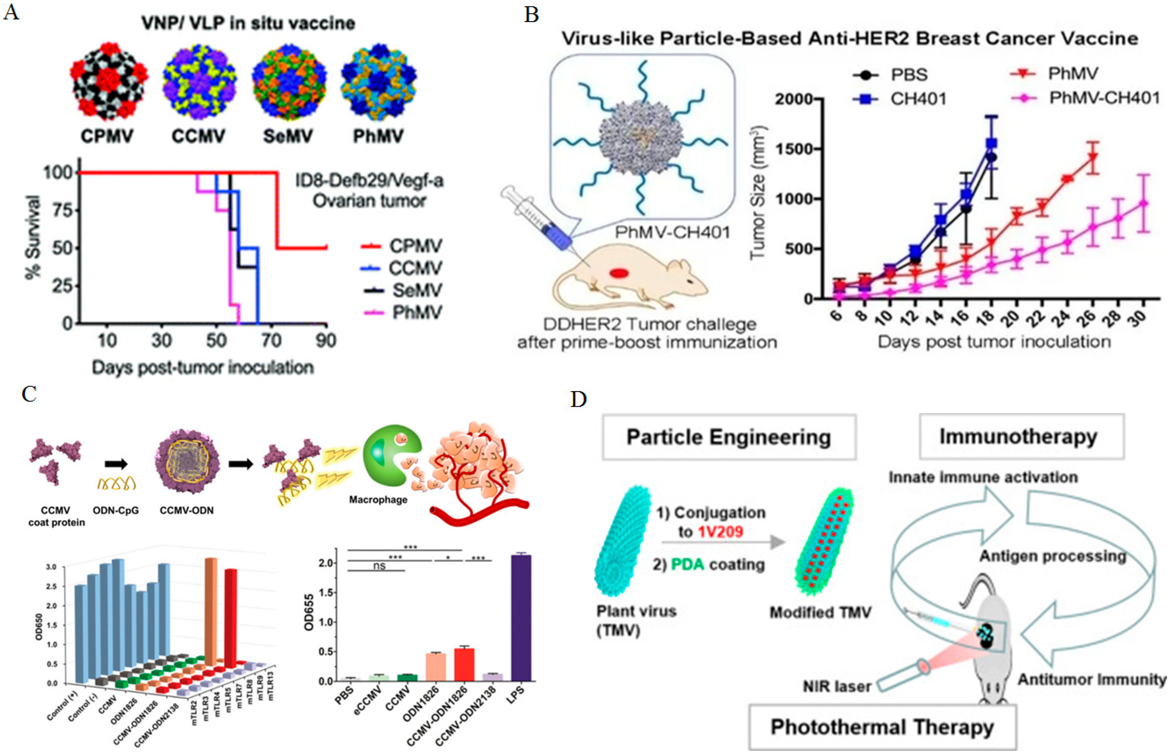 Bioengineering 12 00007 g004 Bioengineering 12 00007 g004