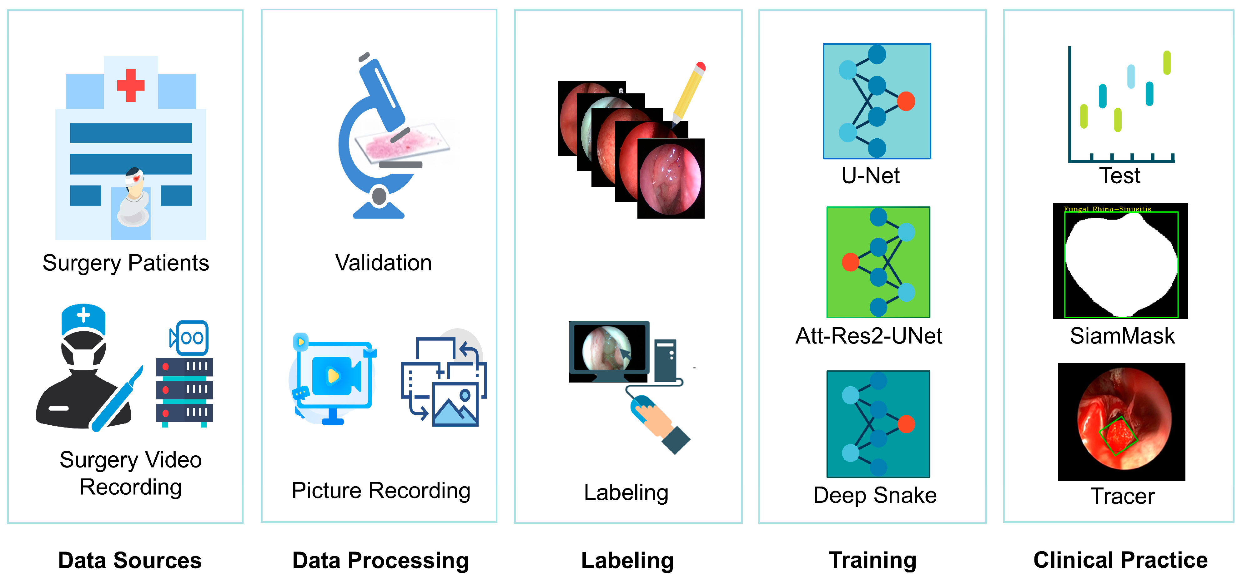 Bioengineering 12 00010 g001