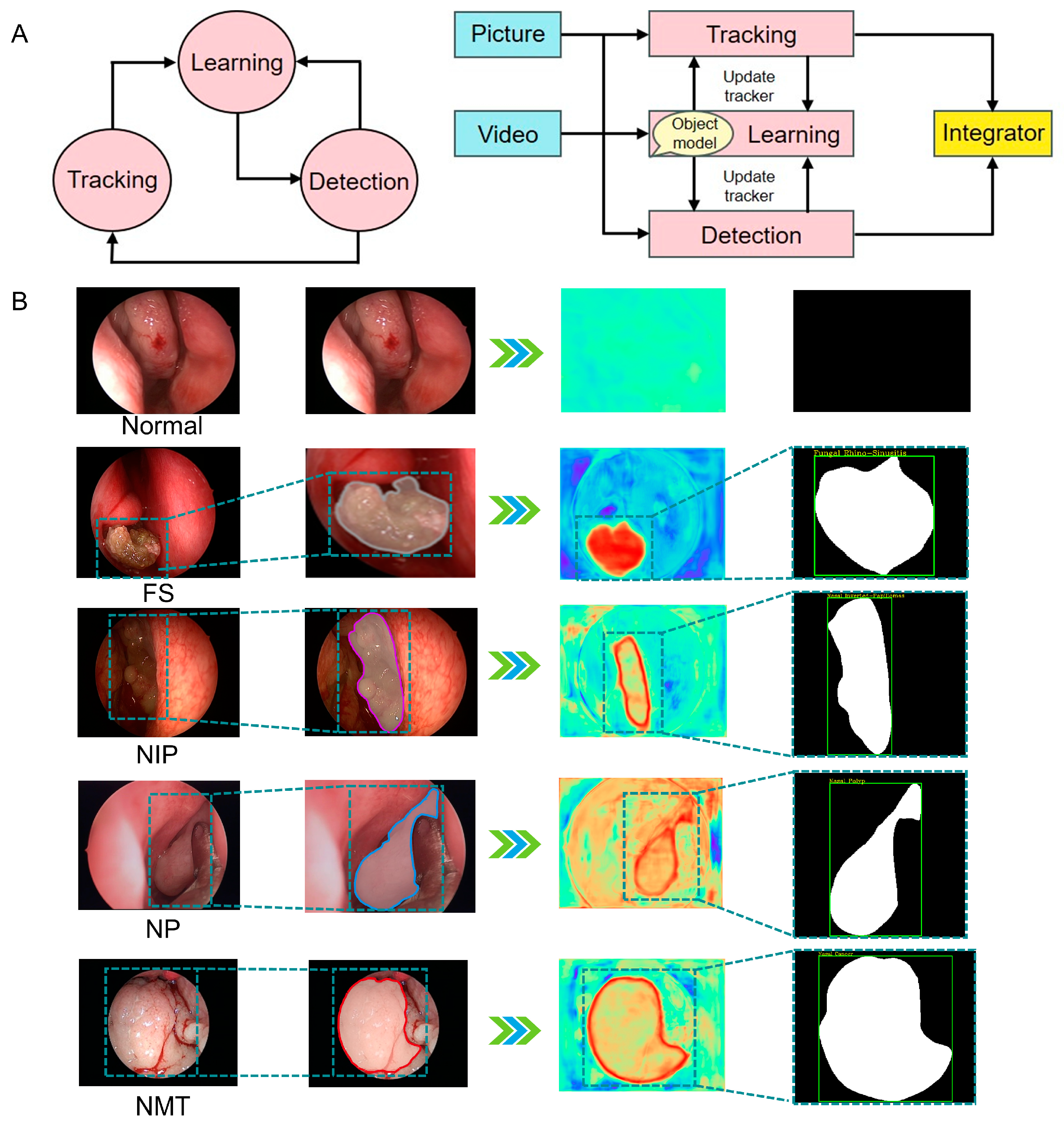 Bioengineering 12 00010 g002