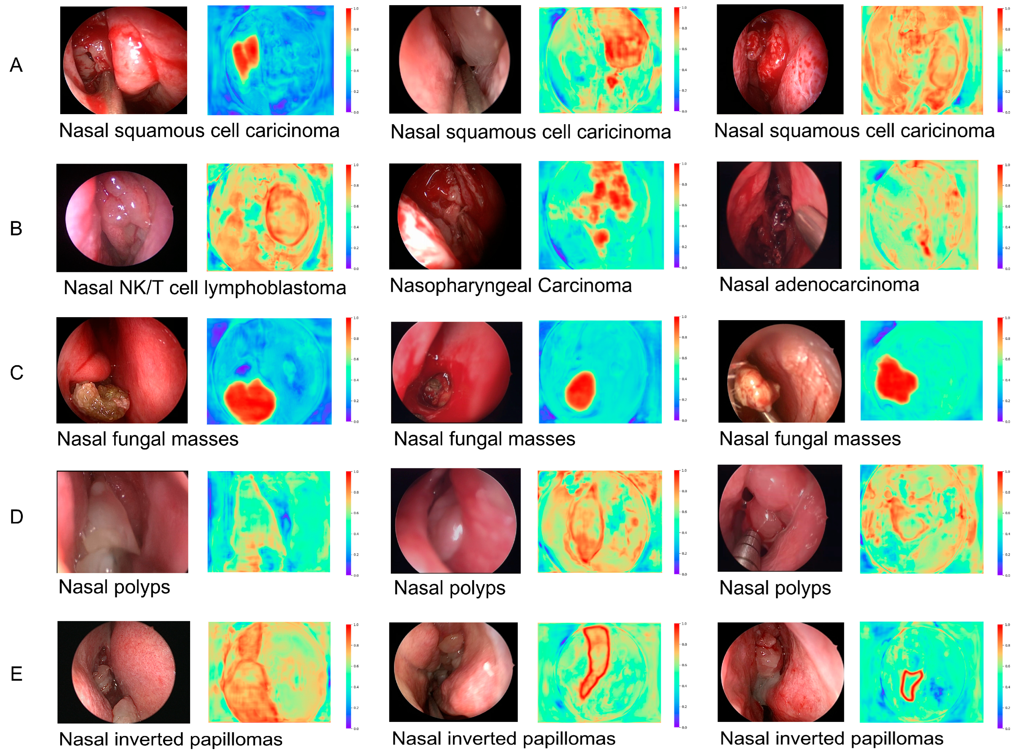 Bioengineering 12 00010 g003