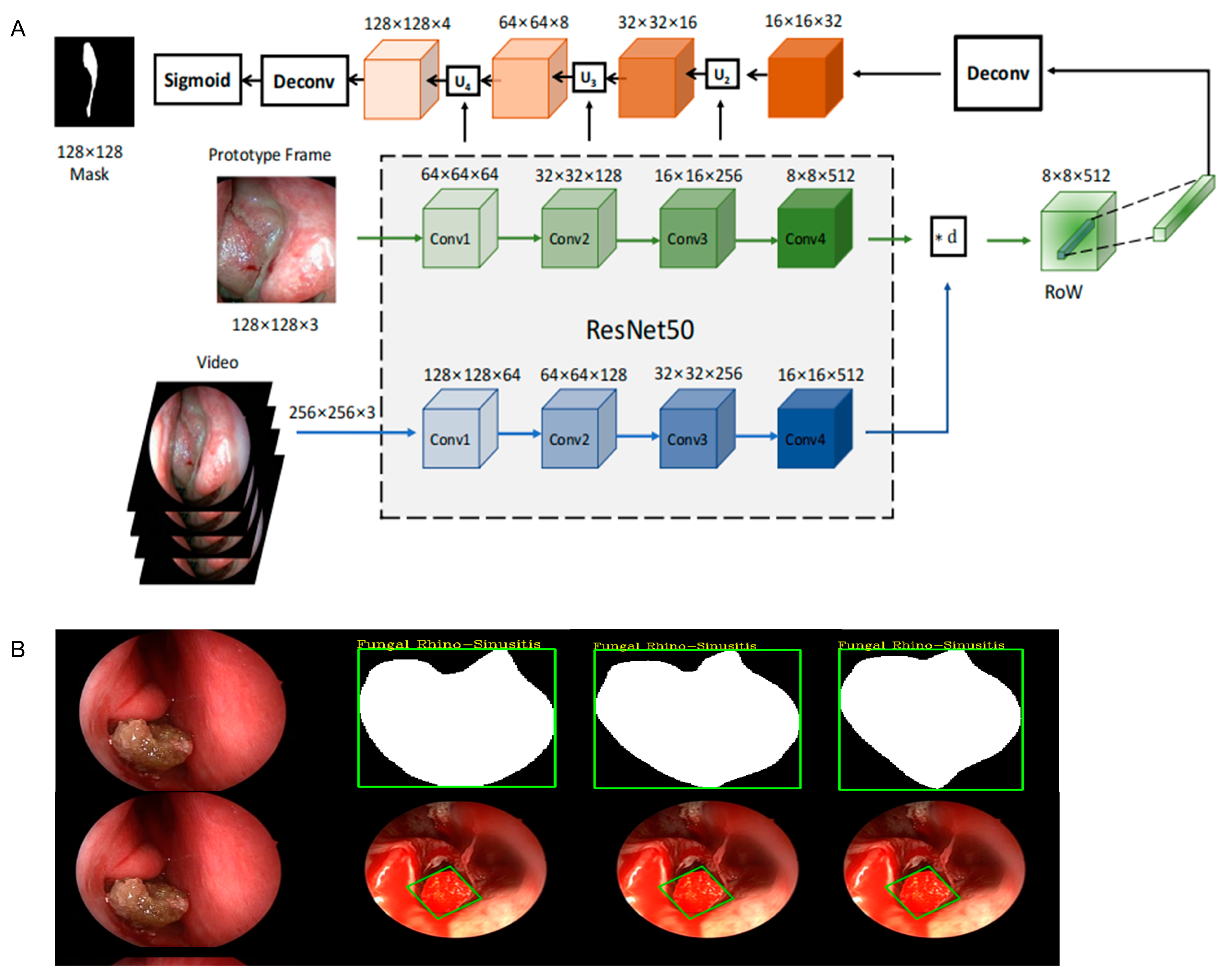 Bioengineering 12 00010 g005