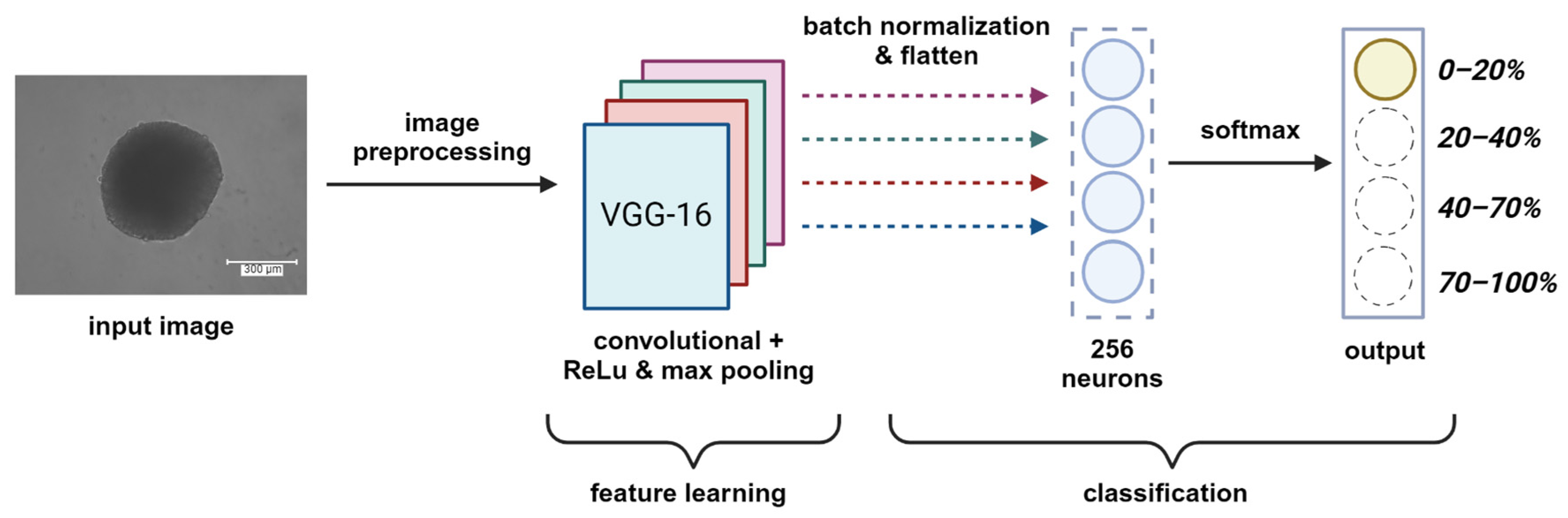 Bioengineering 12 00028 g003
