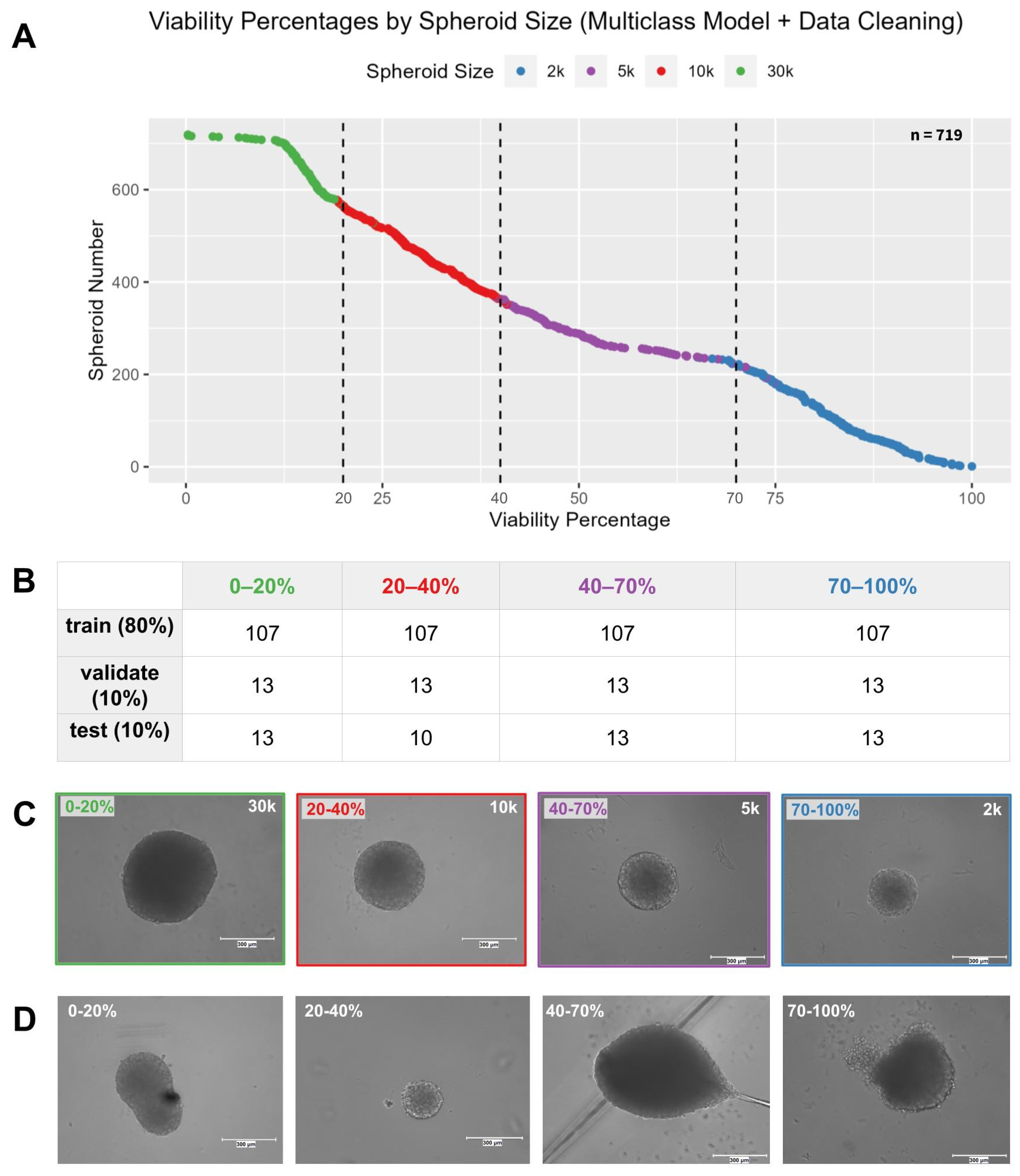 Bioengineering 12 00028 g004