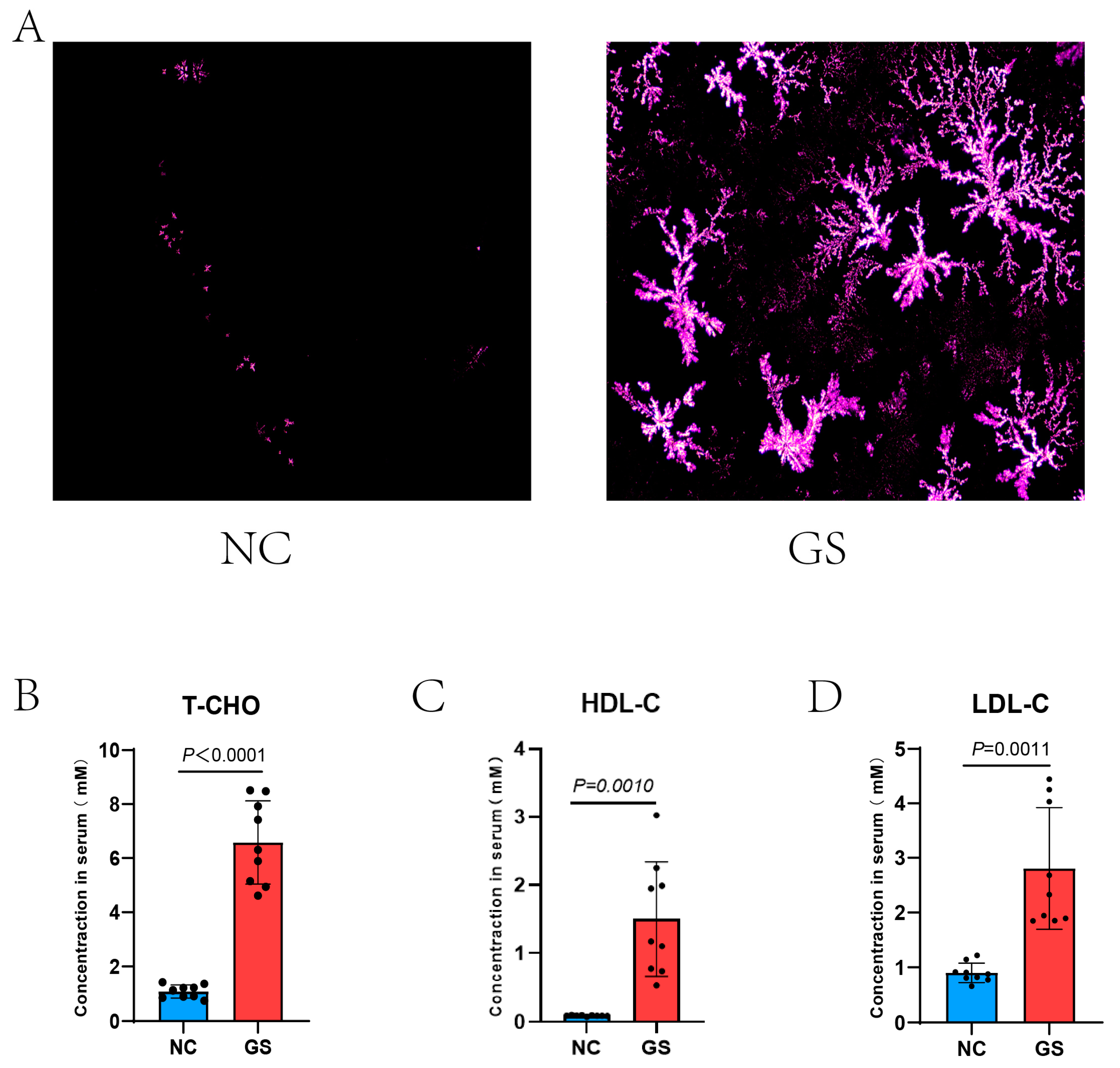 Bioengineering 12 00034 g001