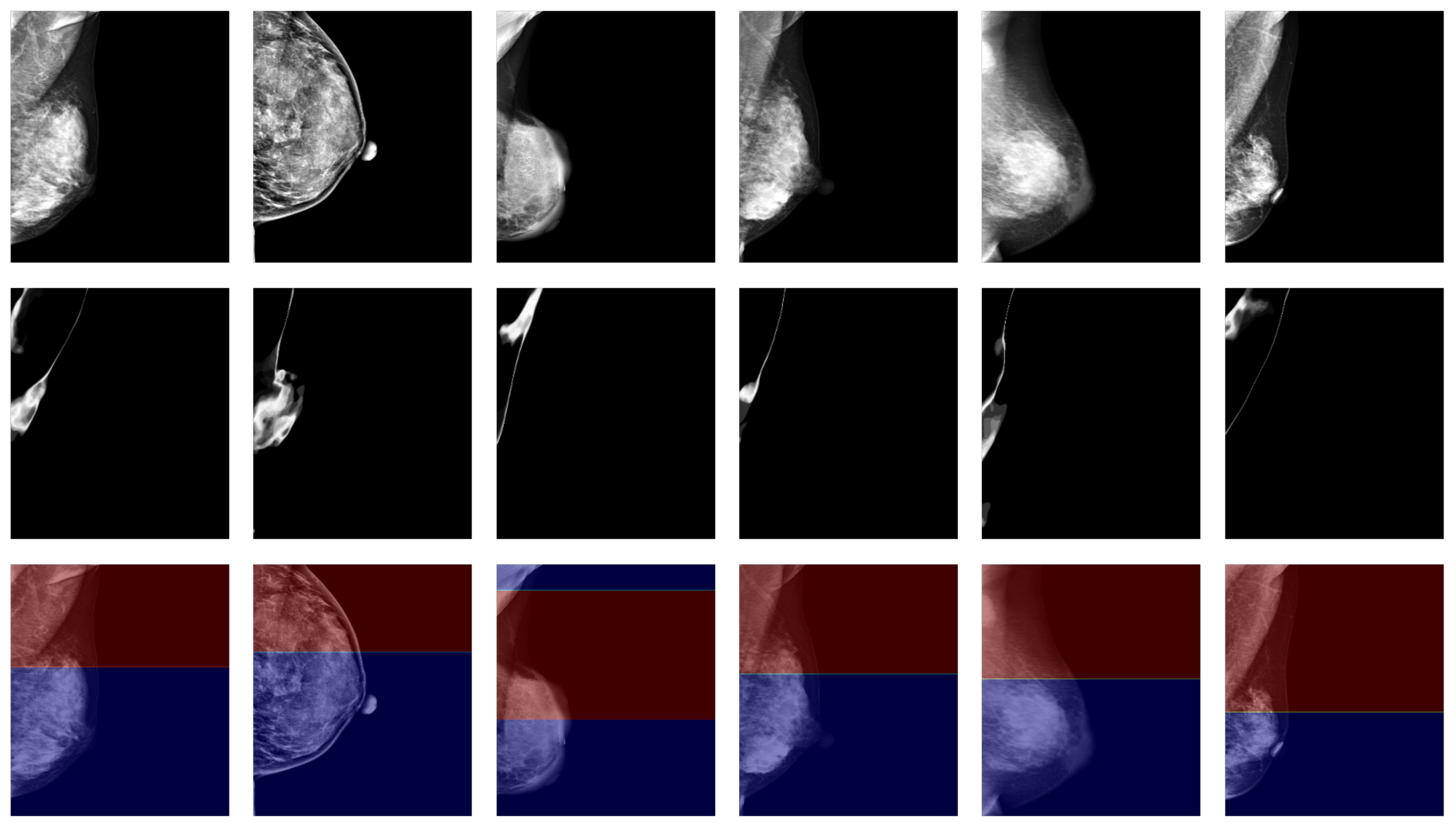 Bioengineering 12 00036 g004