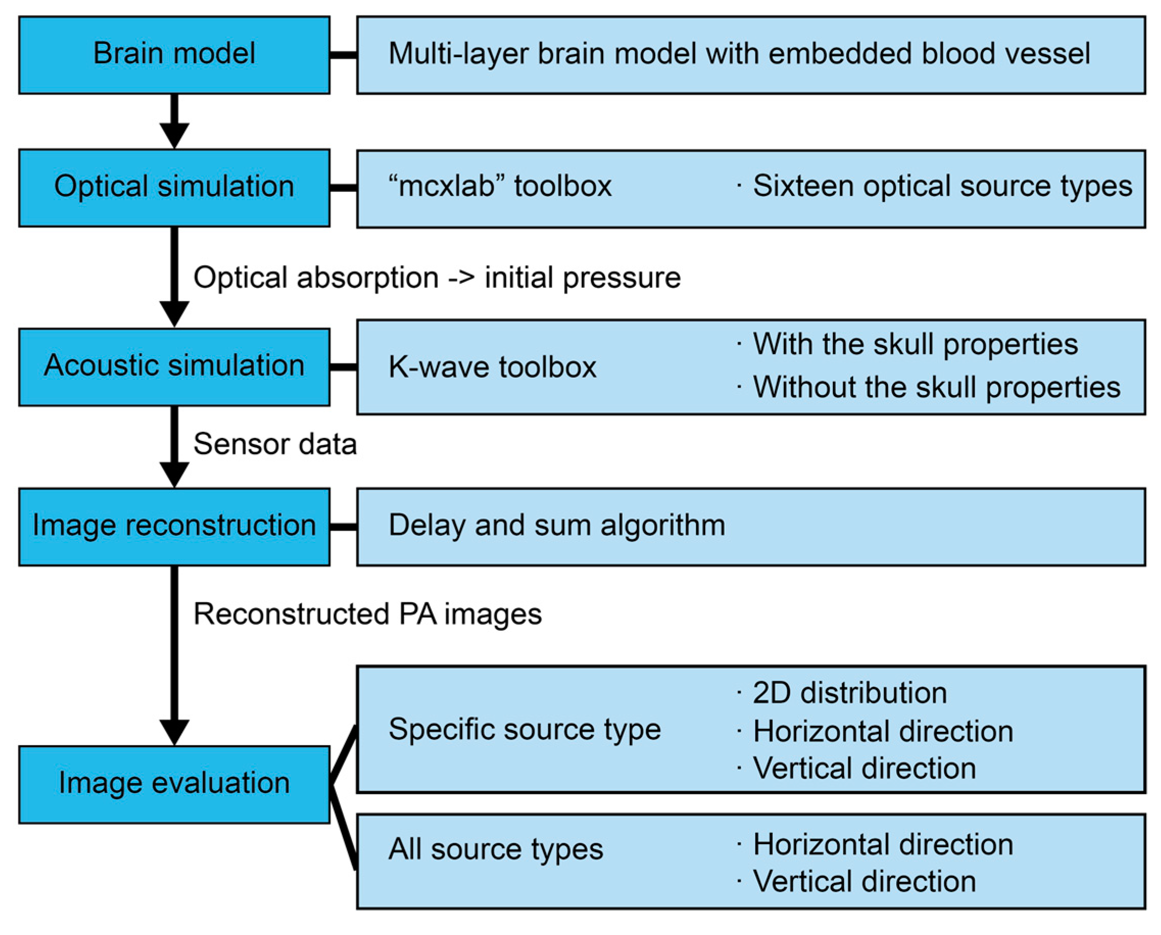 Bioengineering 12 00040 g003