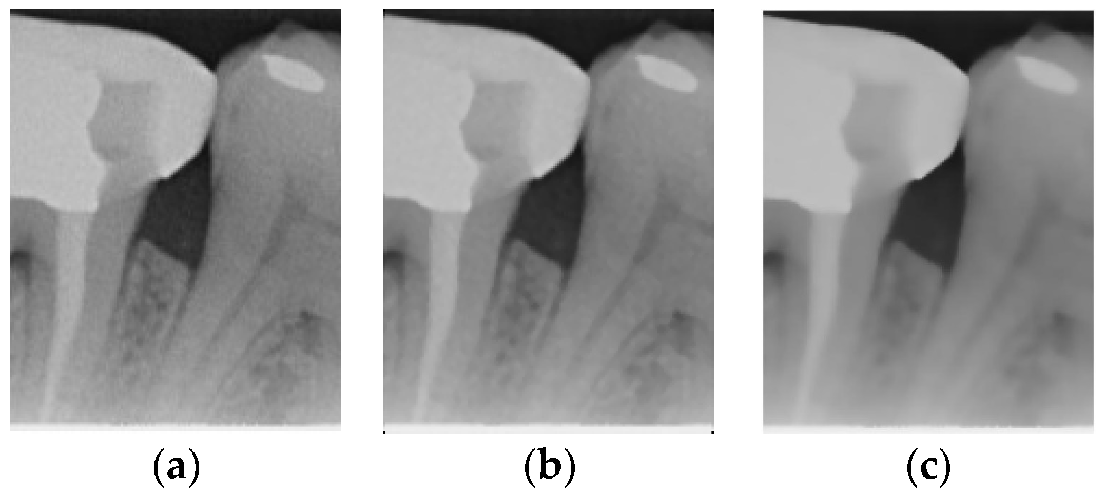 Bioengineering 12 00043 g003